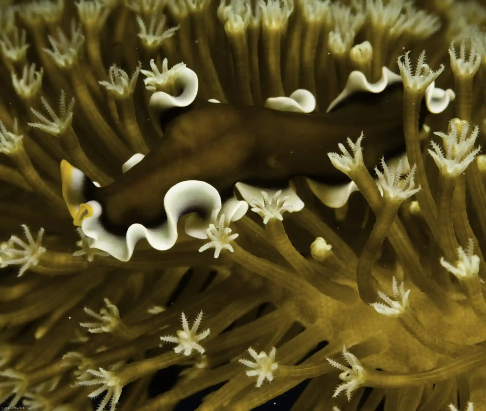 Dive site photo