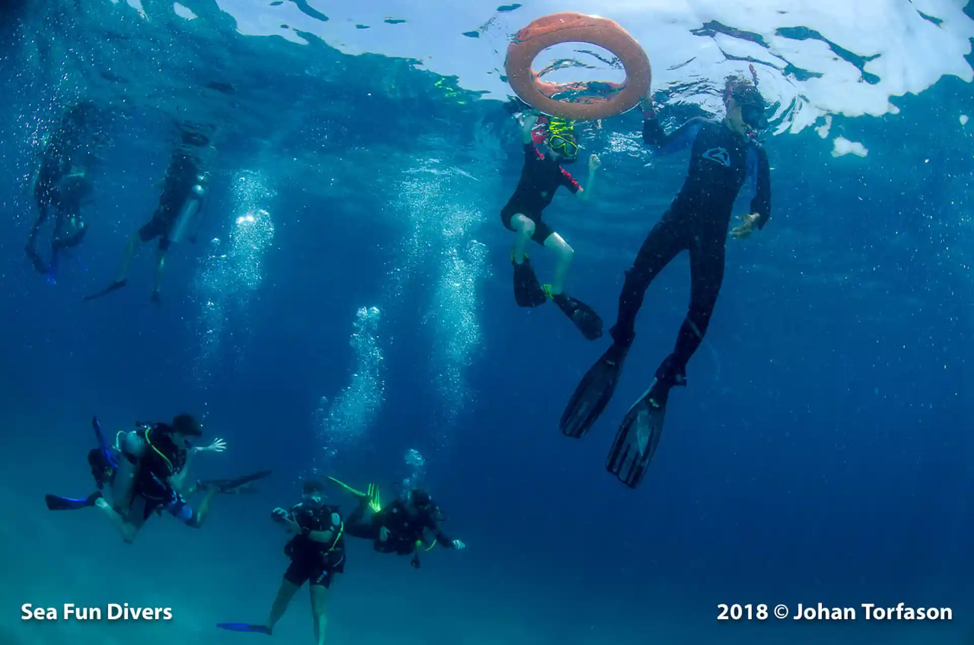A normal day snorkeling with our staff