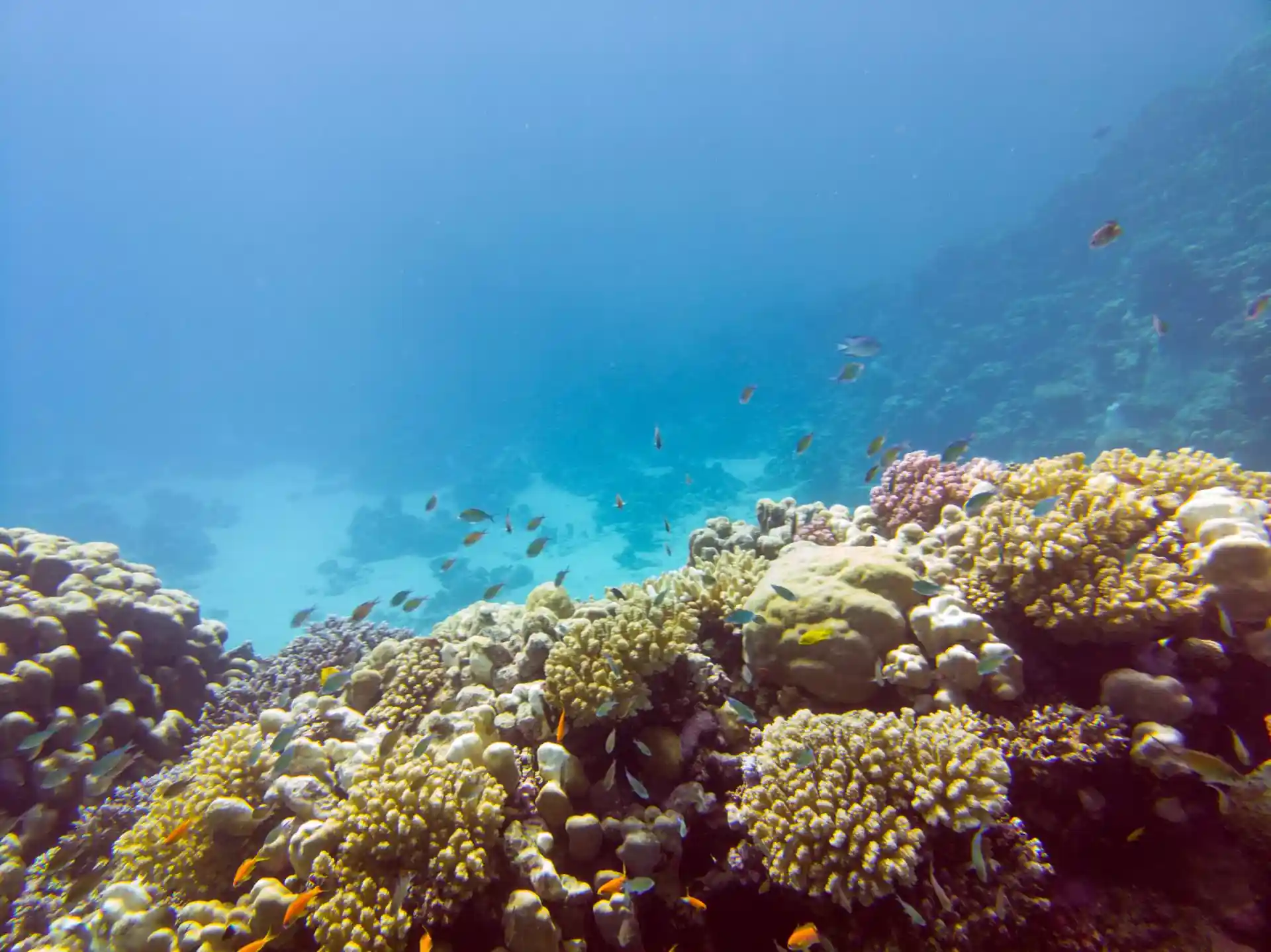 다이빙 포인트 사진