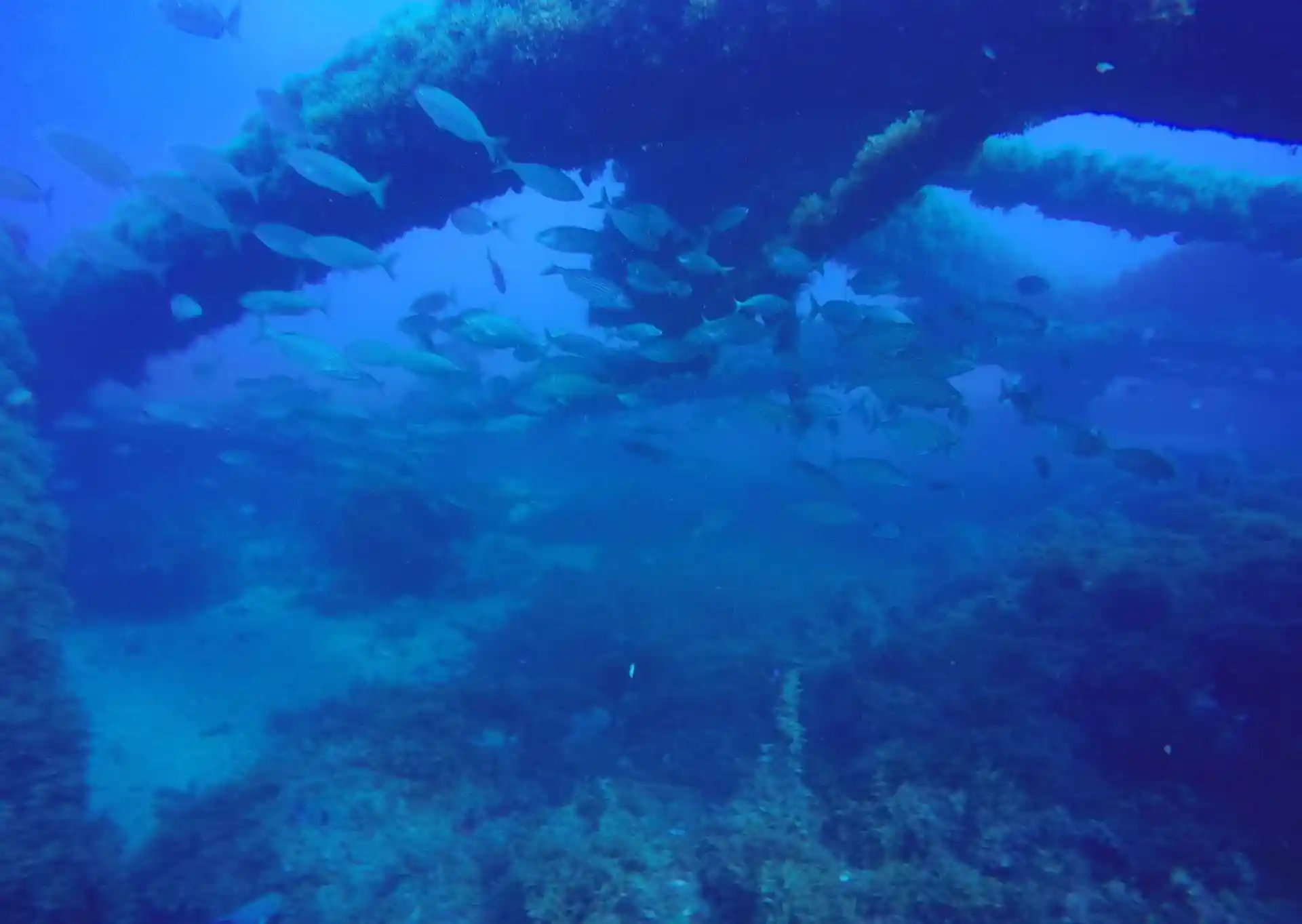 Foto del sitio de buceo