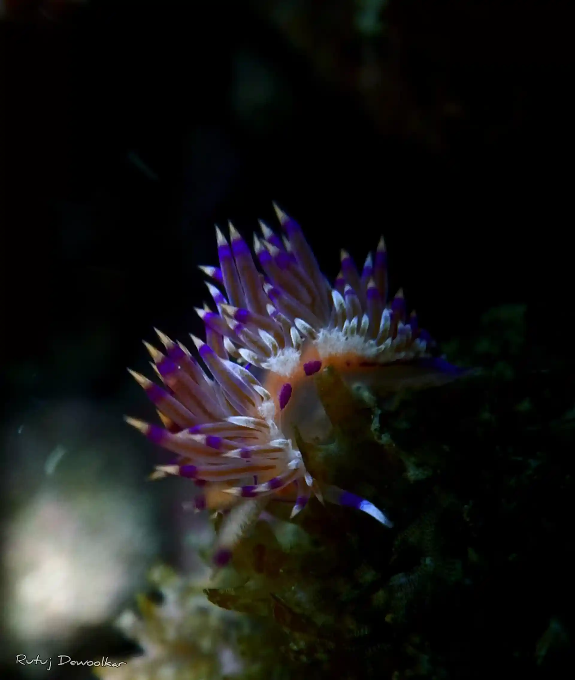 Dive site photo