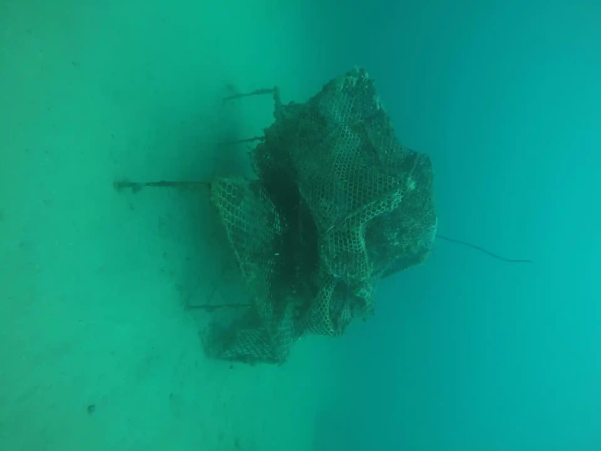 Dive site photo