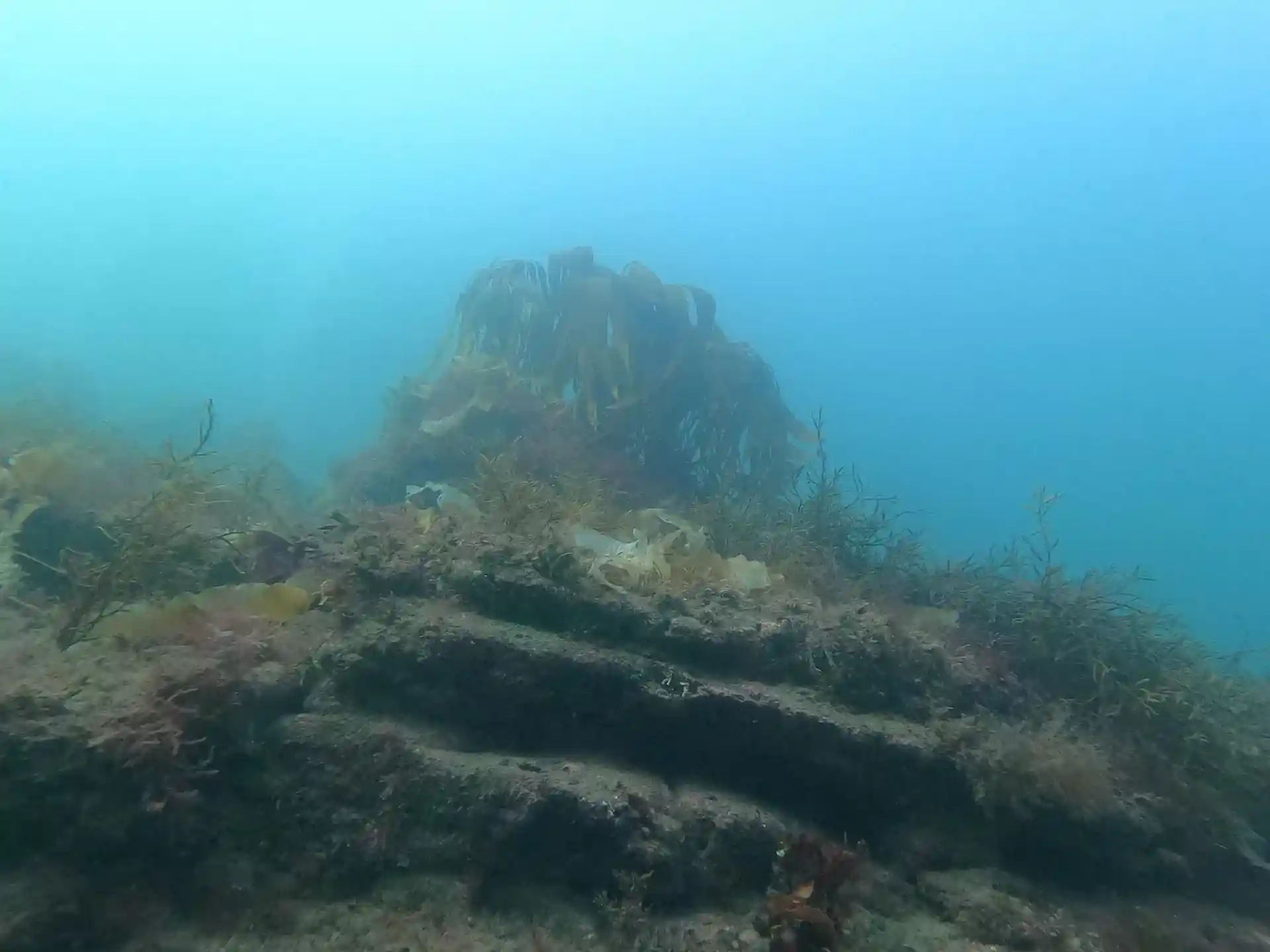 Dive site photo