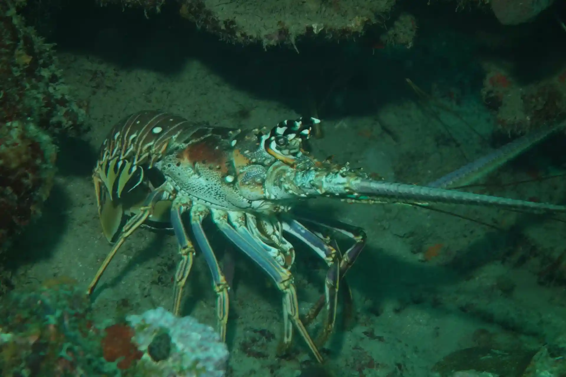 Dive site photo