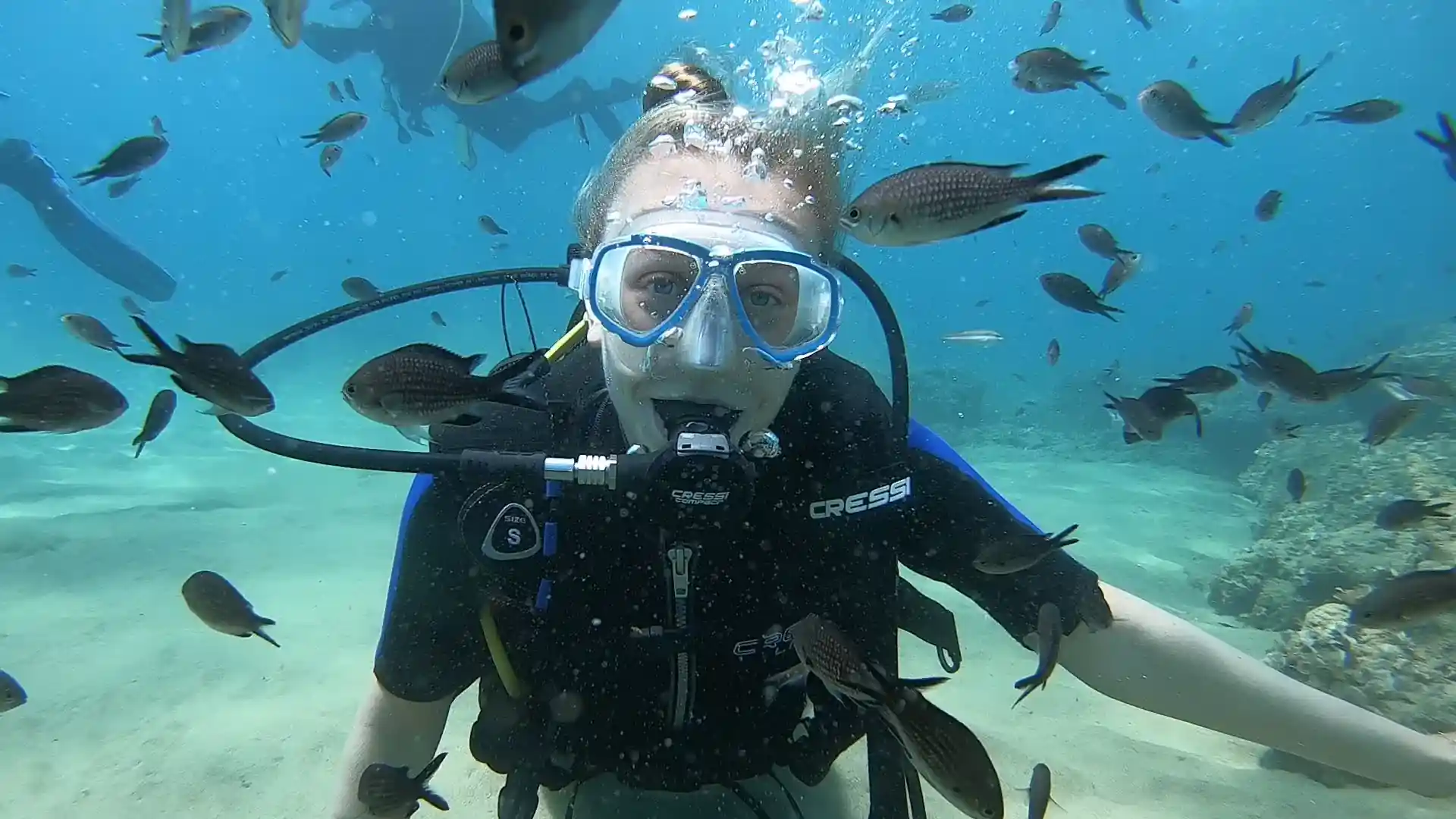 Dive shop photo