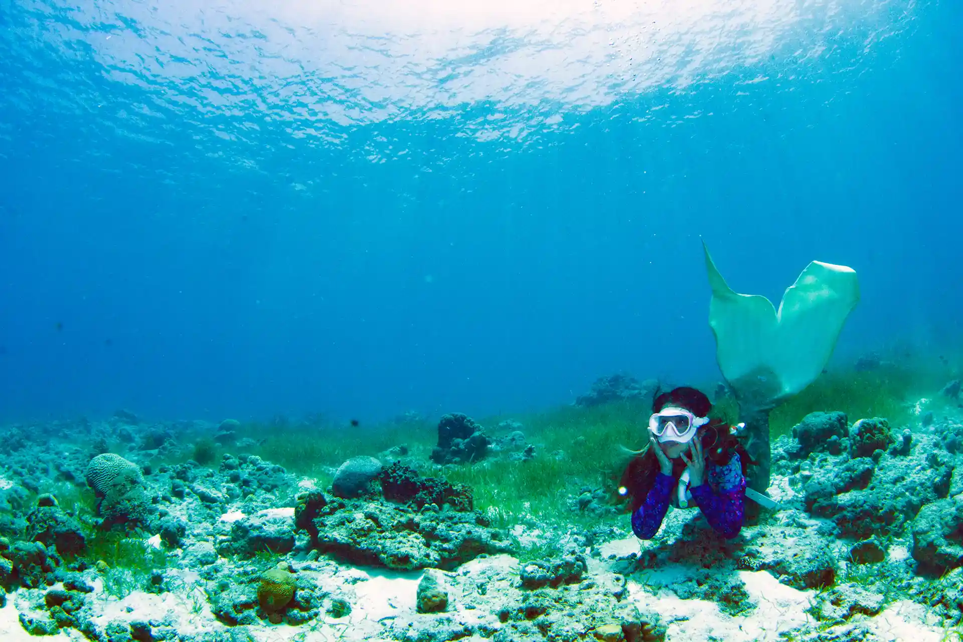 Dive shop photo
