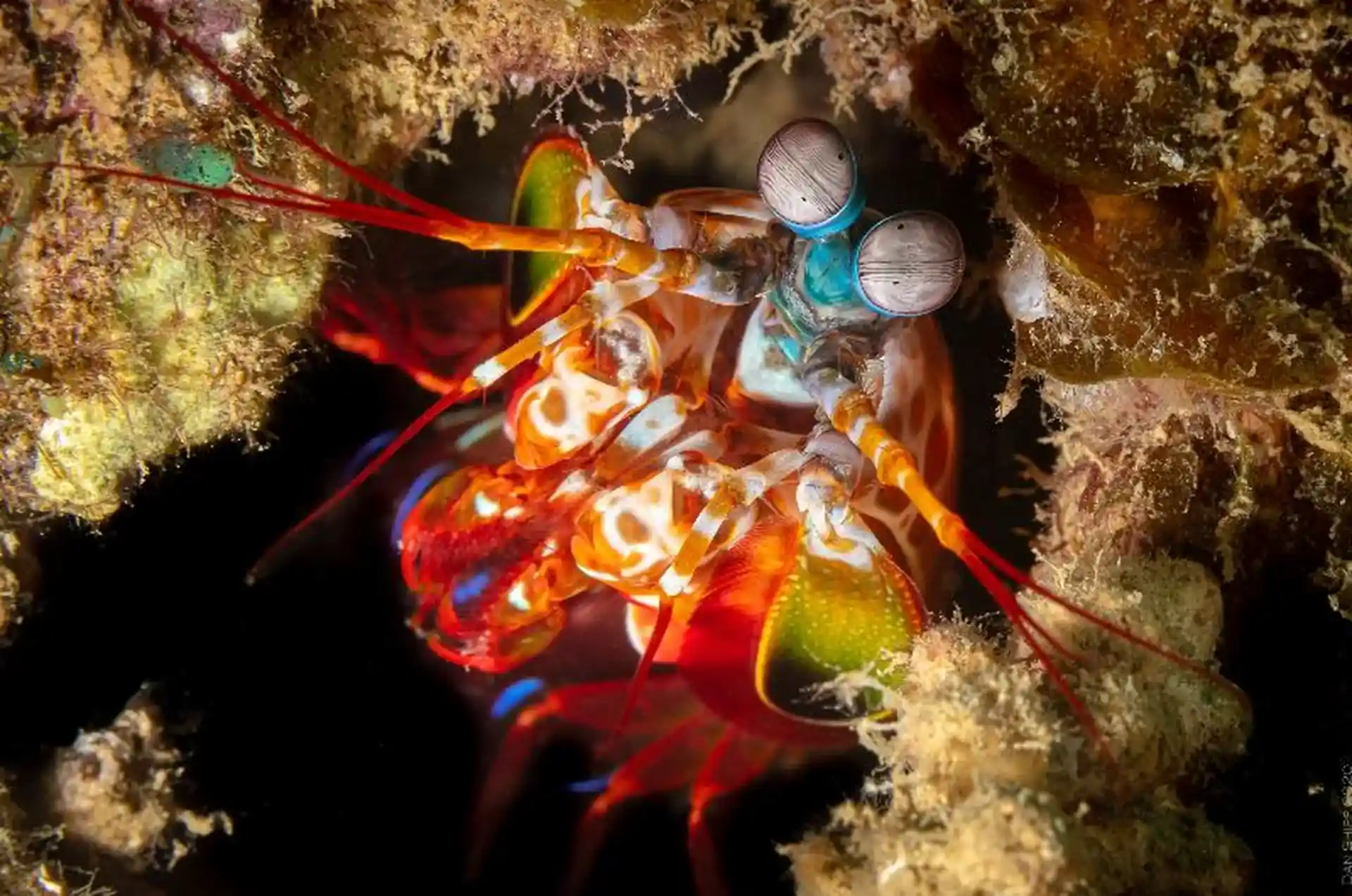 Dive shop photo