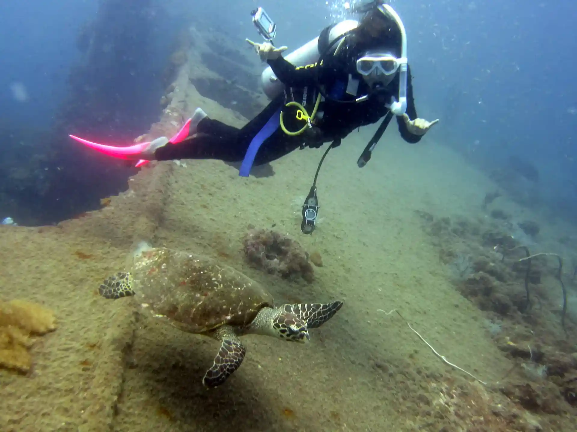 Wreck Adventure Dive at Yongala wreck