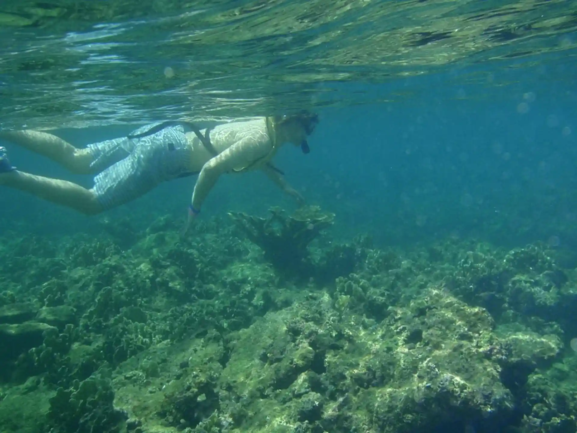 Plongez dans notre côté caribéen