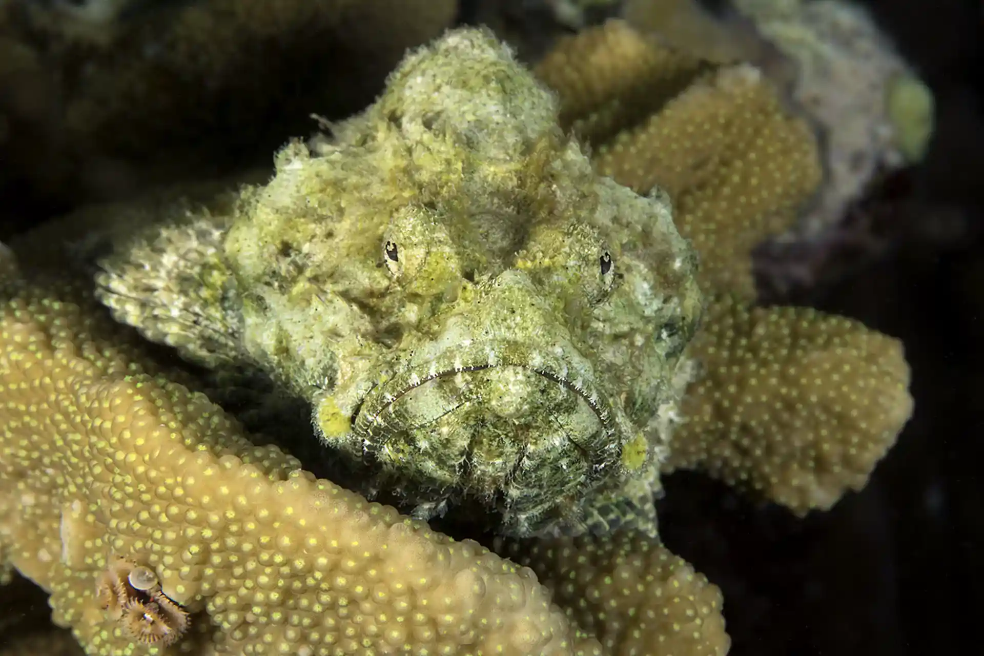 Dive site photo