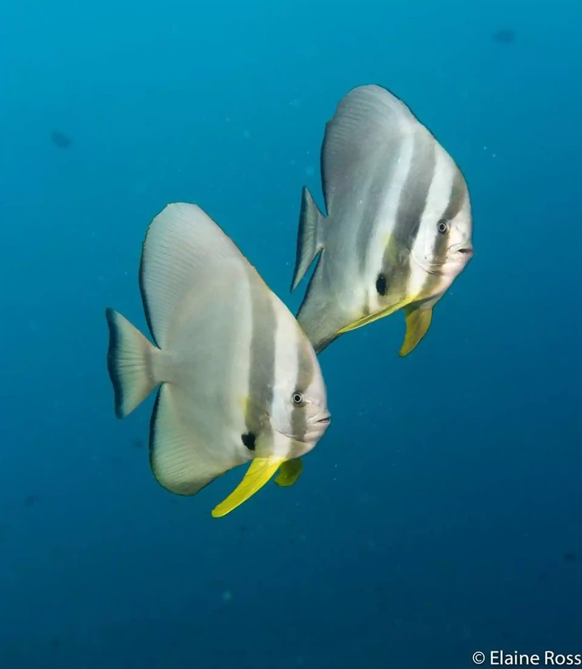 다이빙 포인트 사진