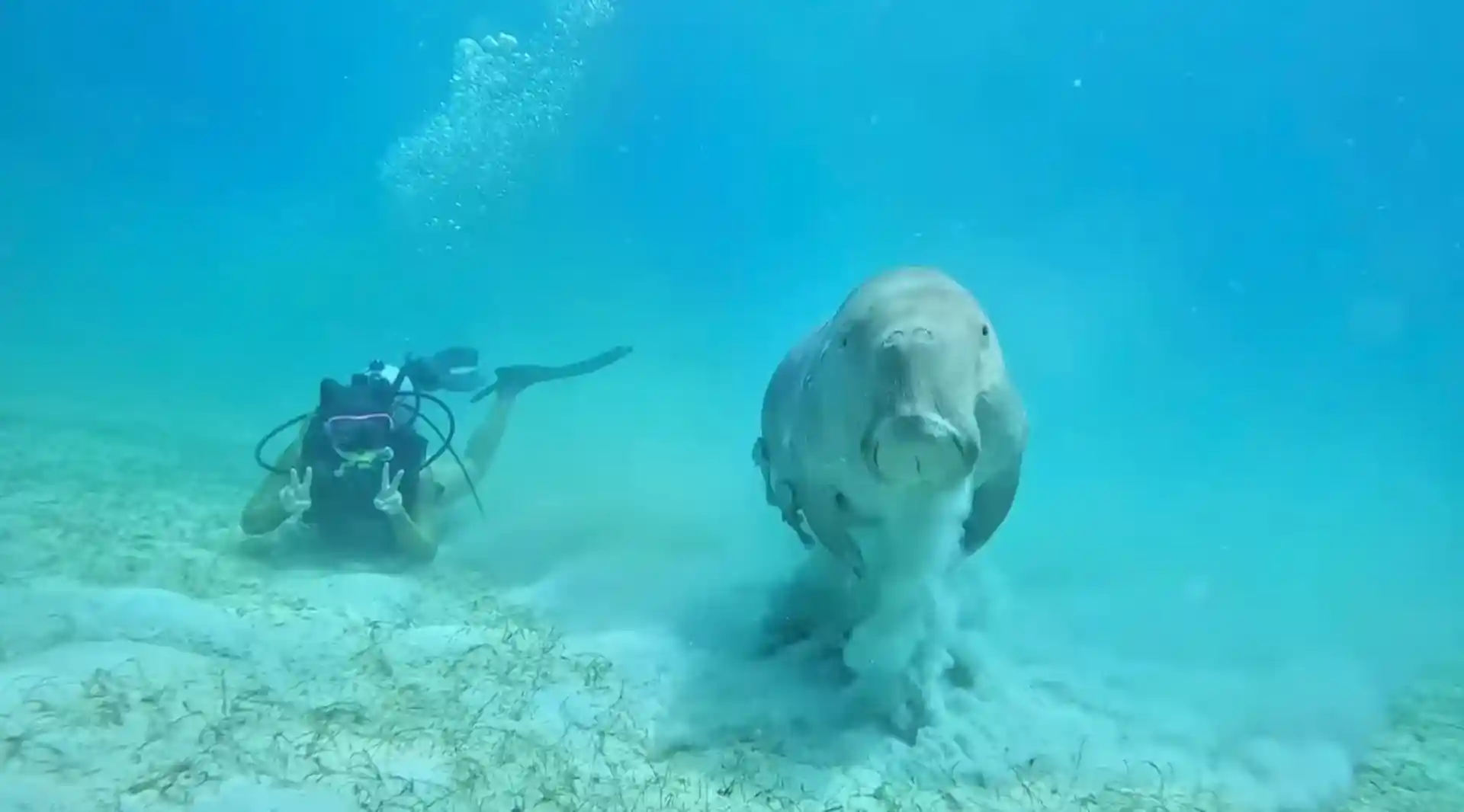 Dive shop photo