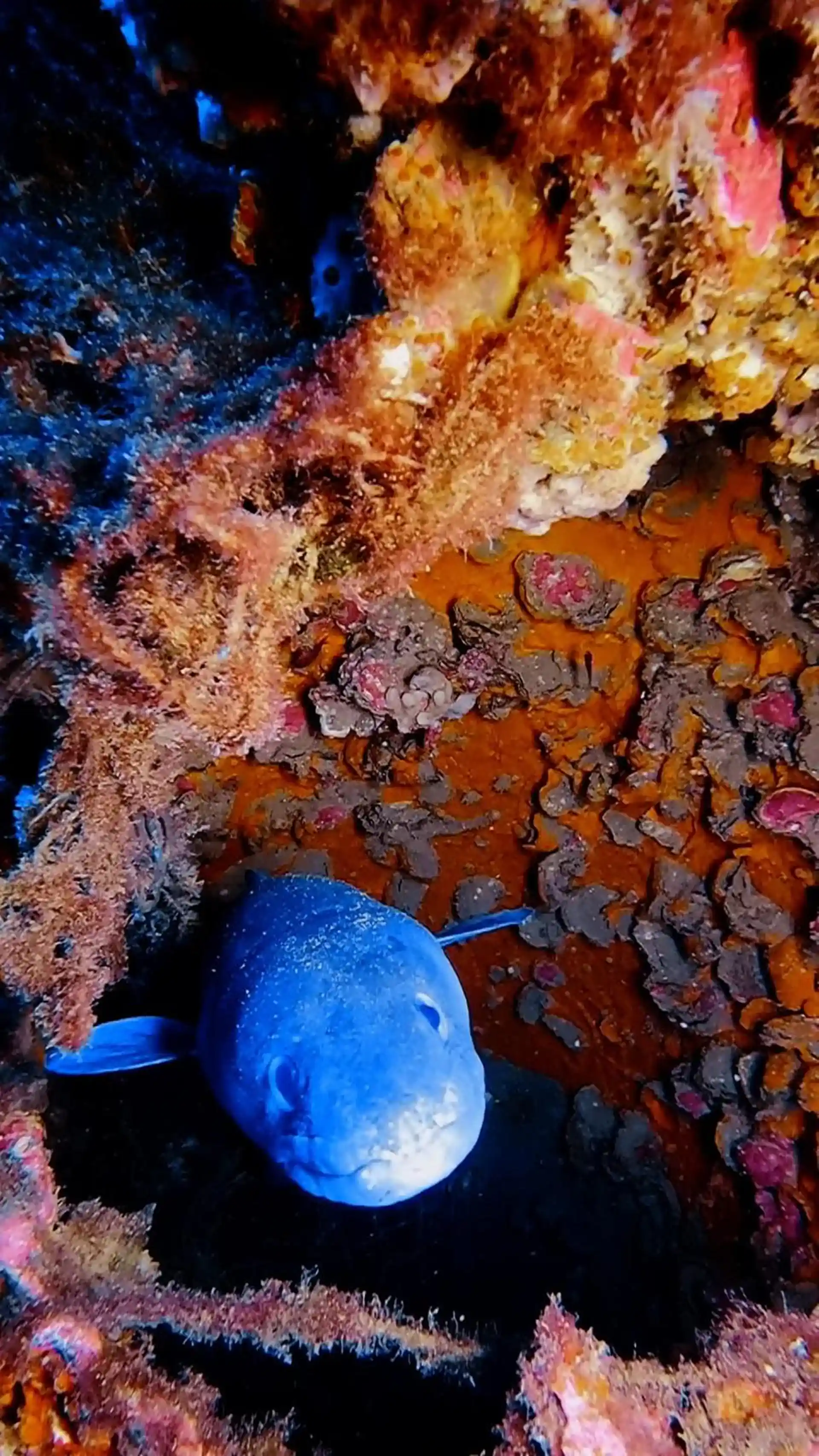 Dive site photo