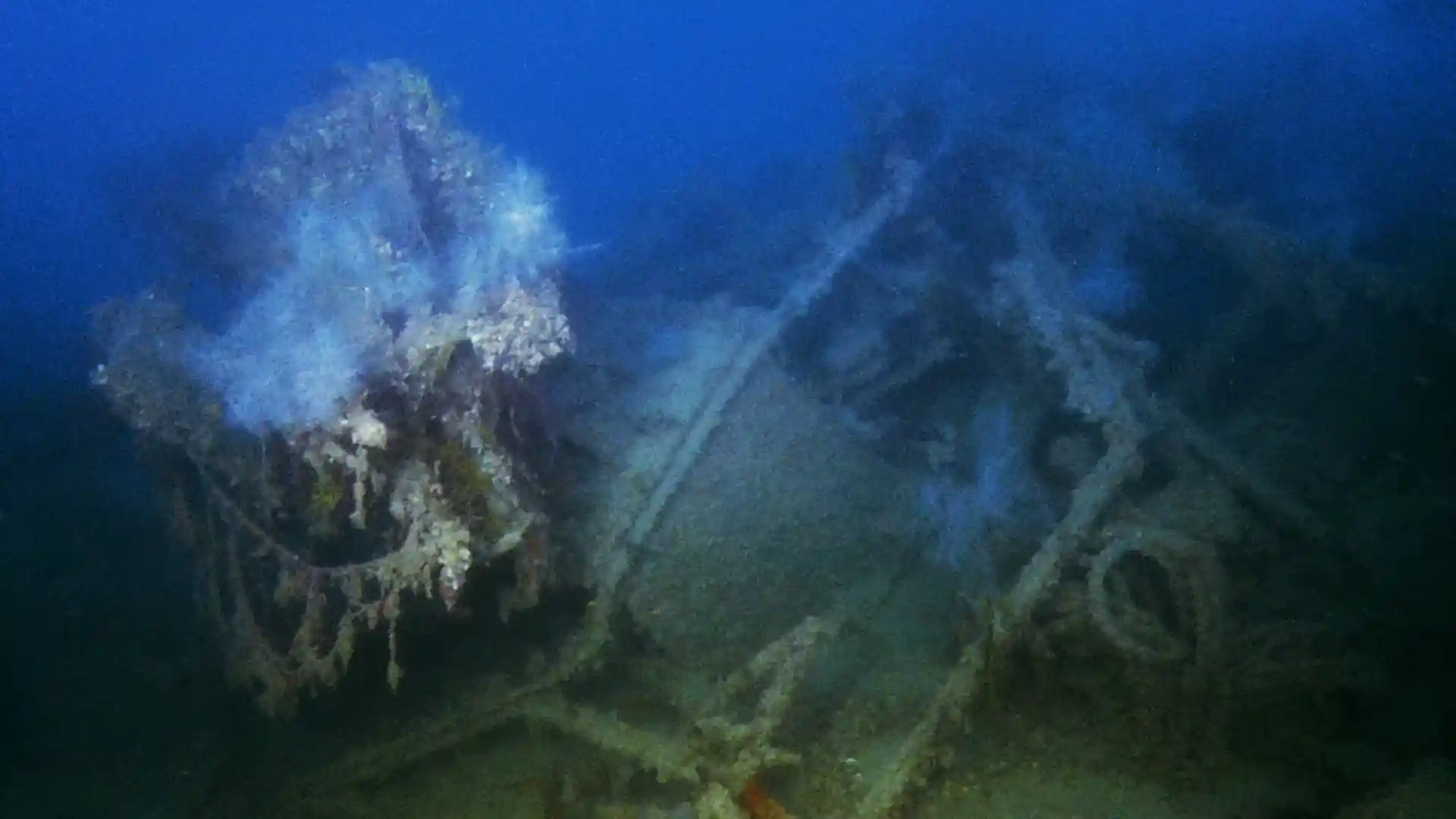 Dive site photo