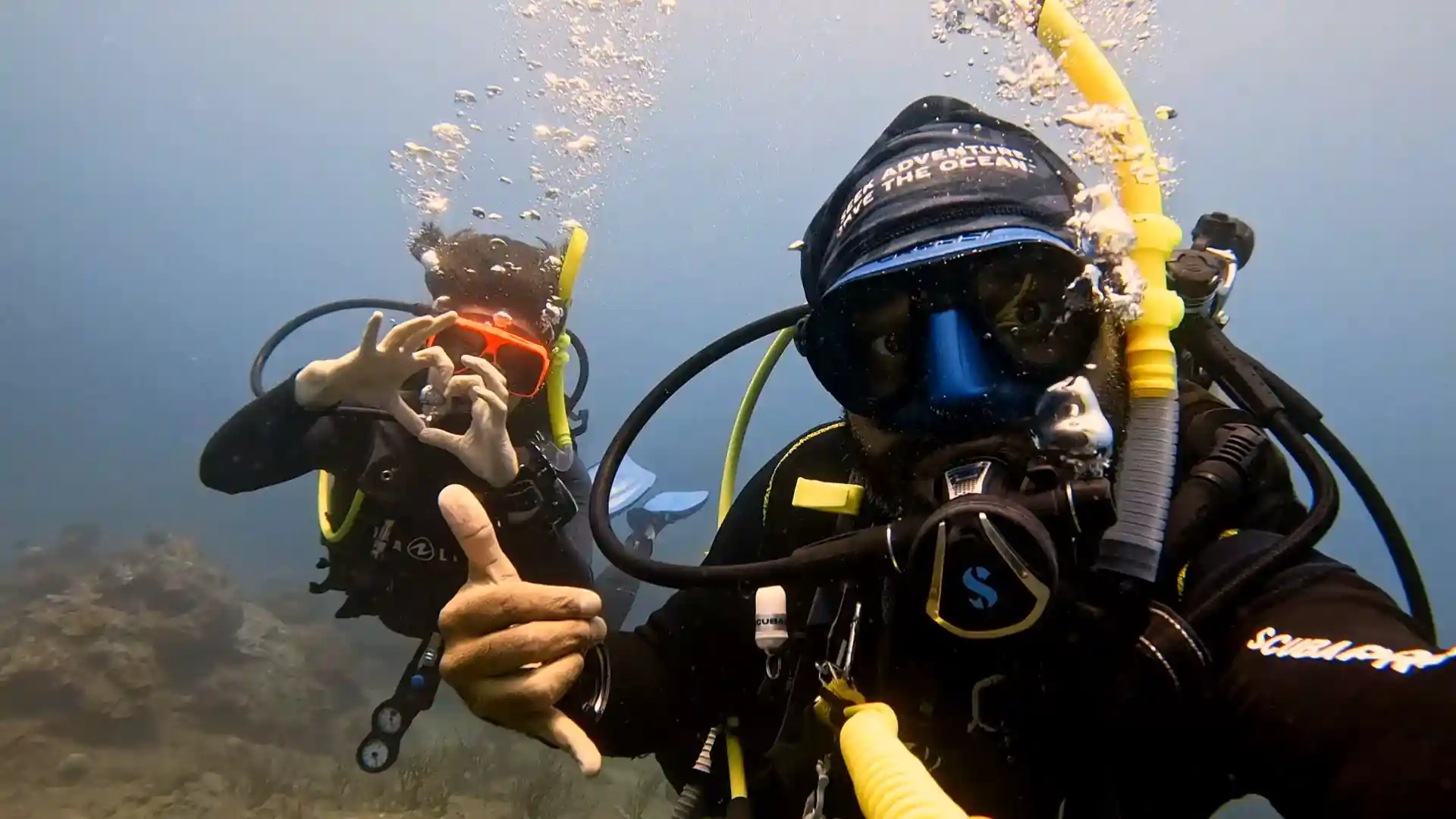 Discover the underwater world!