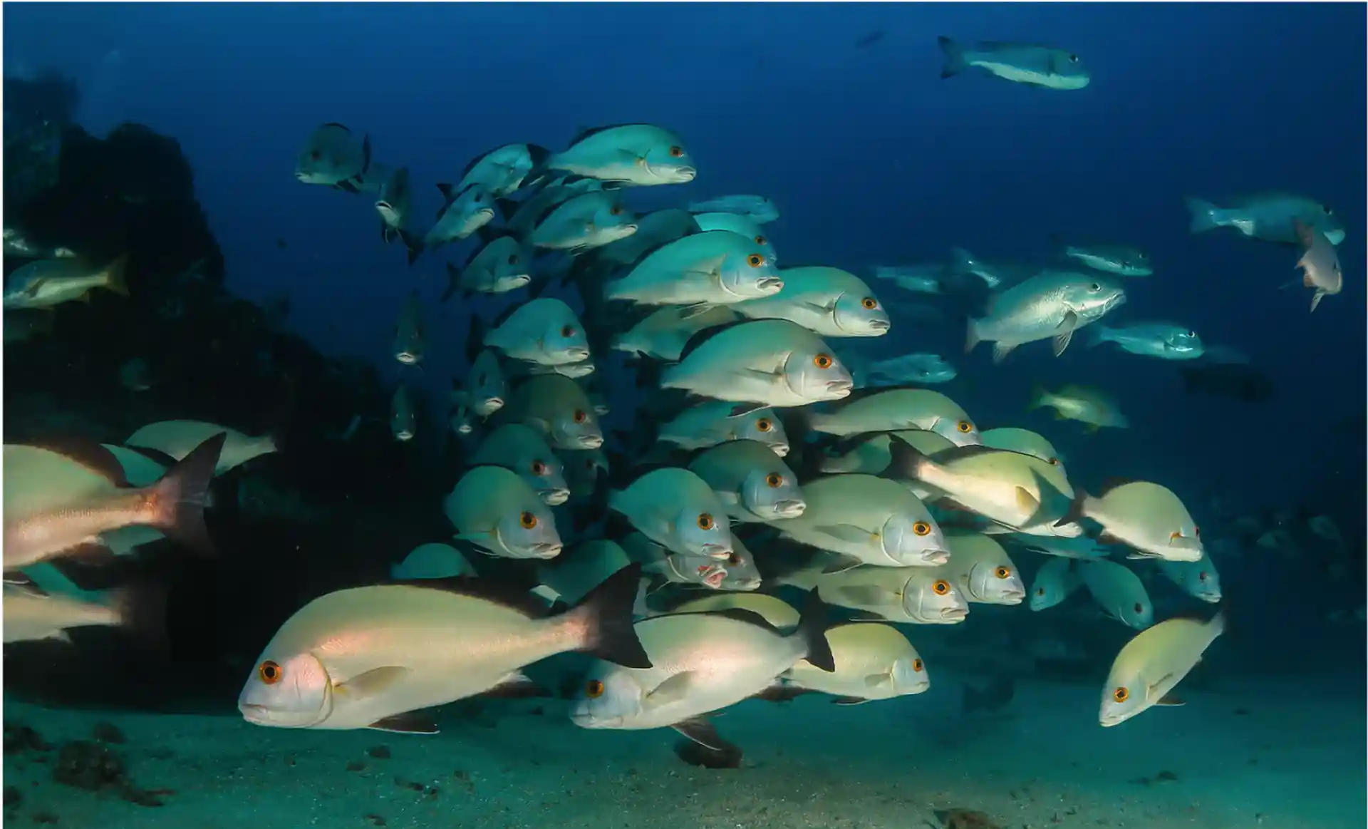 Dive site photo