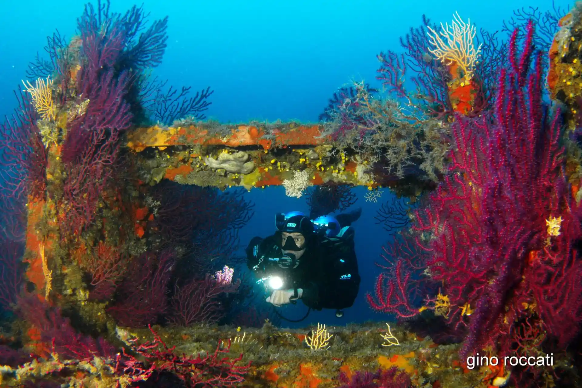 Wreck diving in Portofino © Portofino Divers