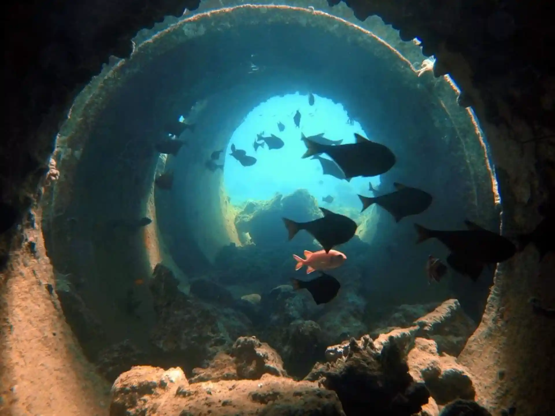 Dive site photo