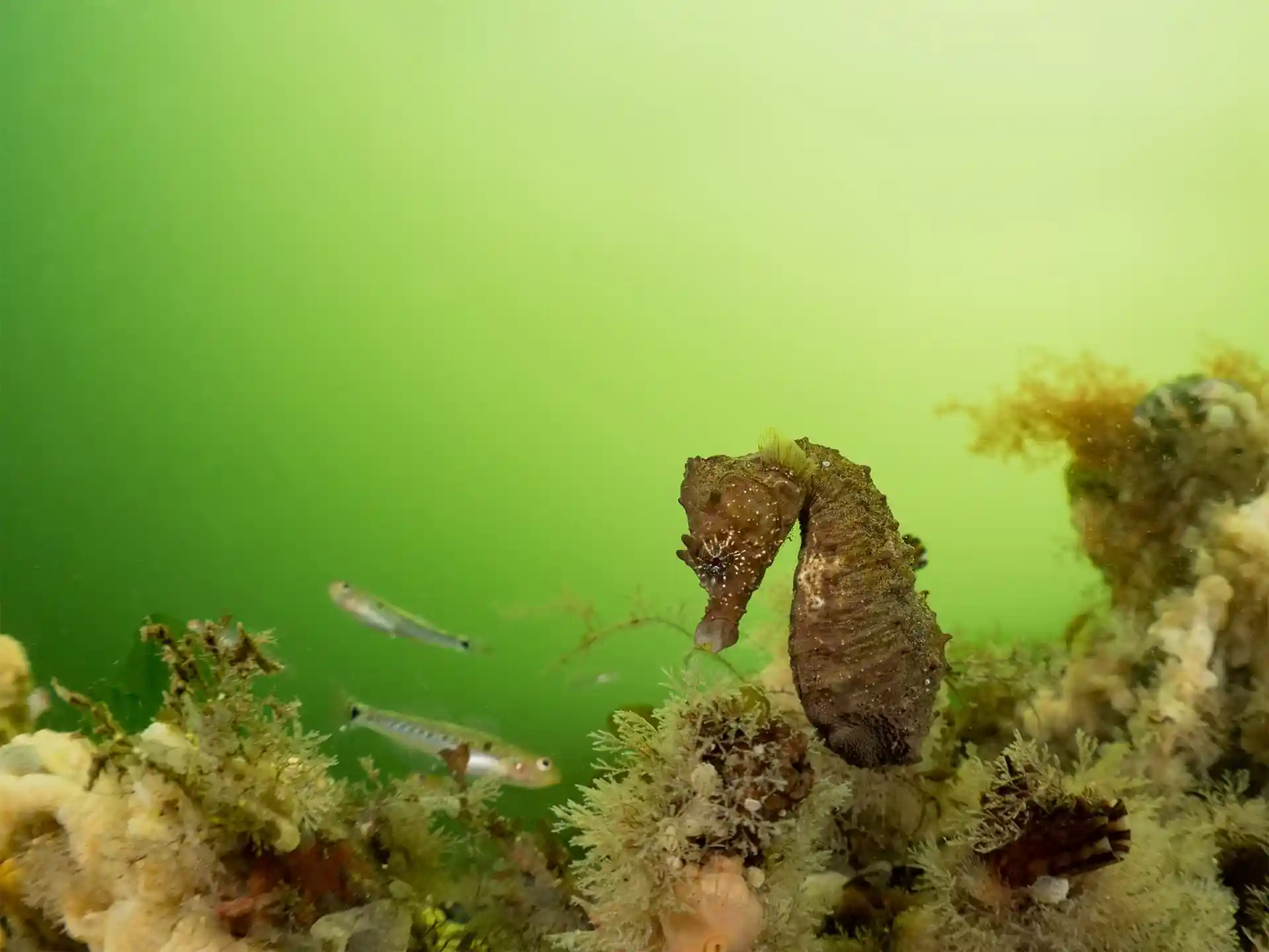 Dive site photo
