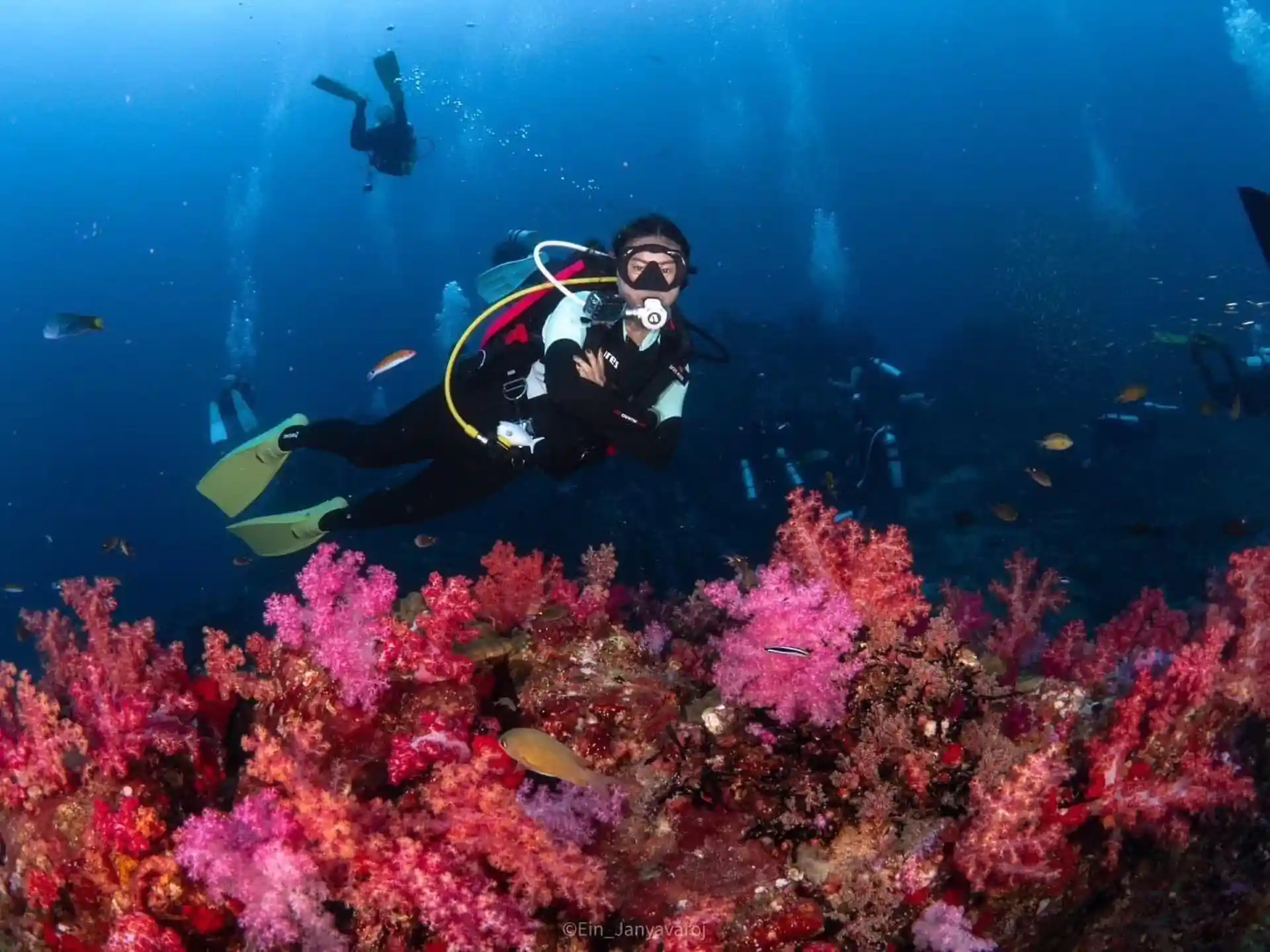 Dive shop photo
