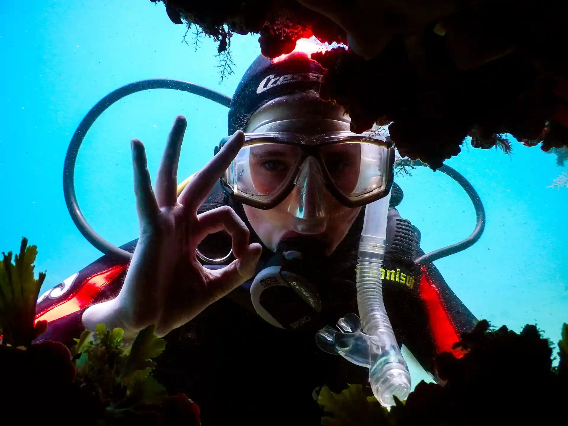 Dive shop photo