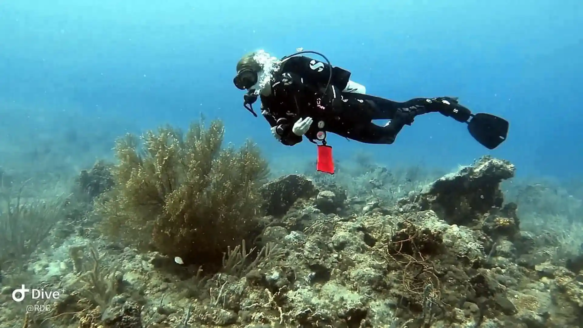 Foto de la actividad