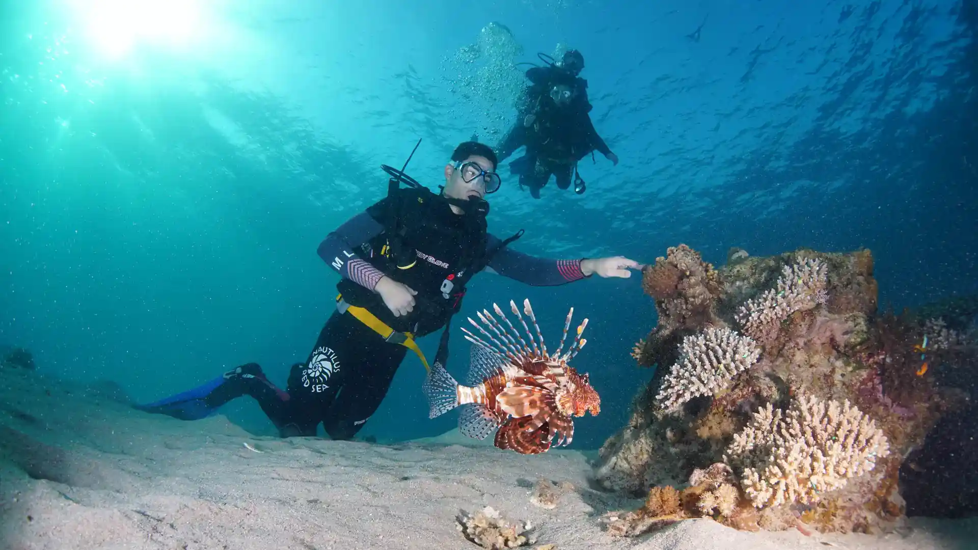 Dive shop photo