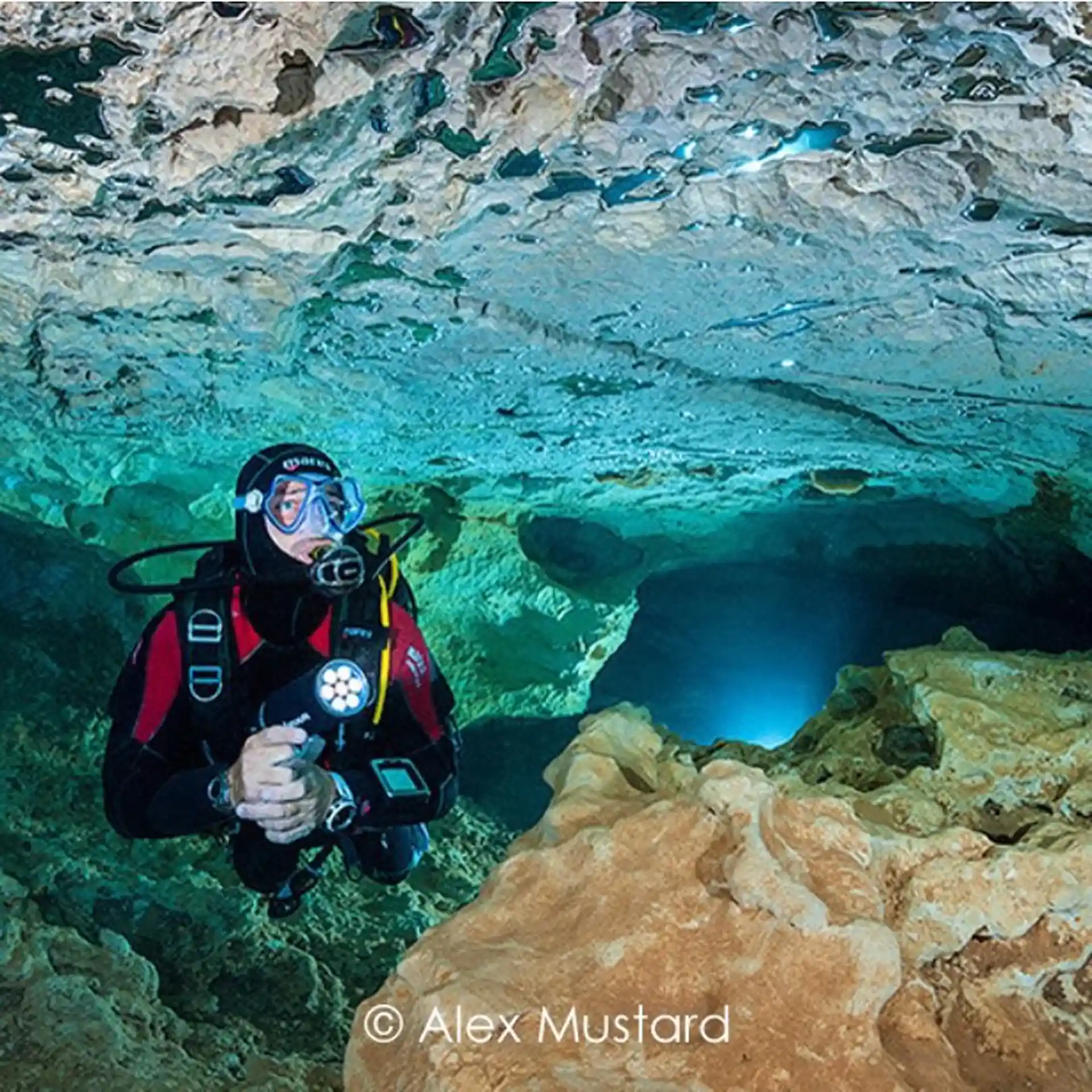 Dive site photo