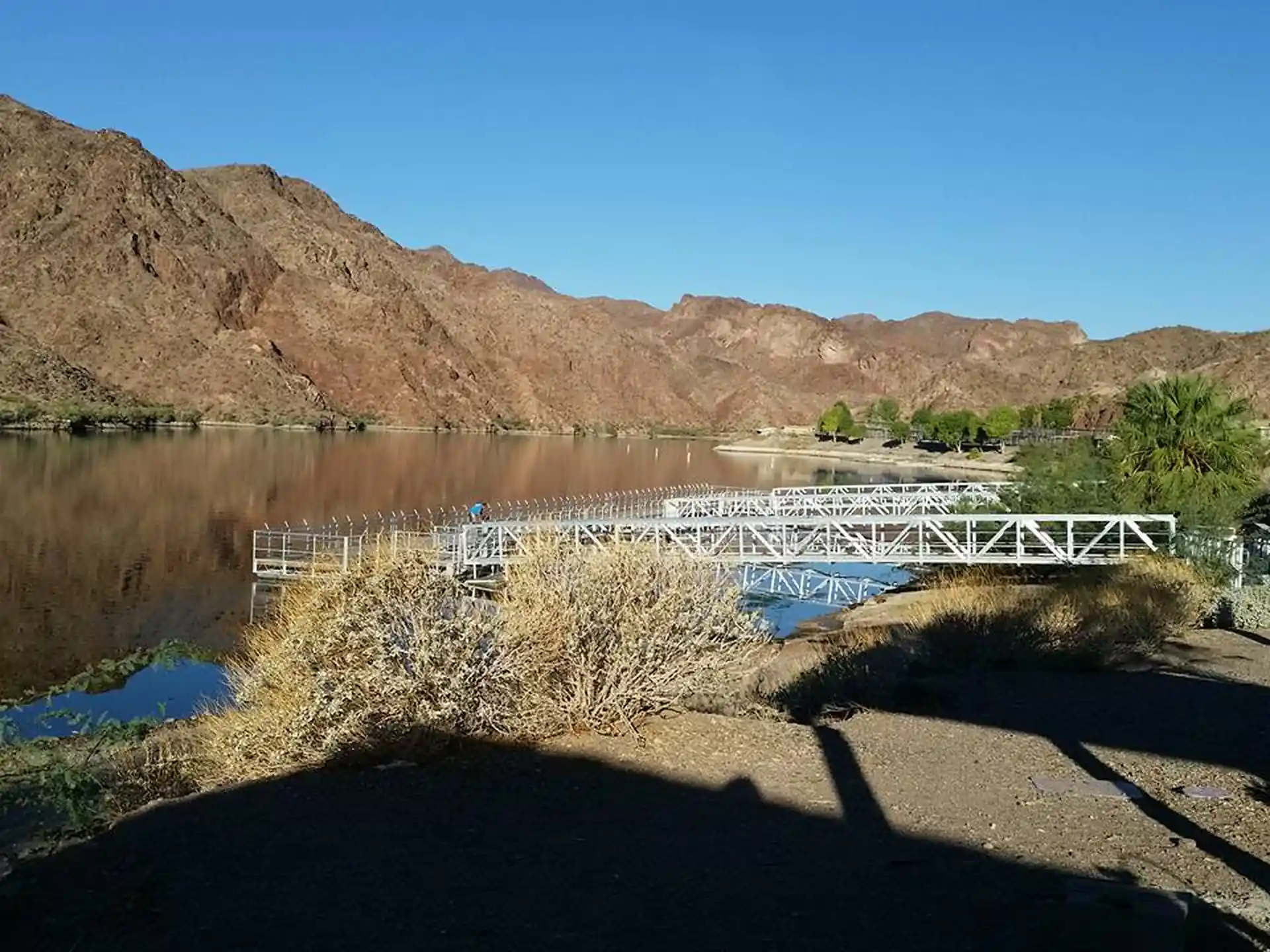 Dive site photo
