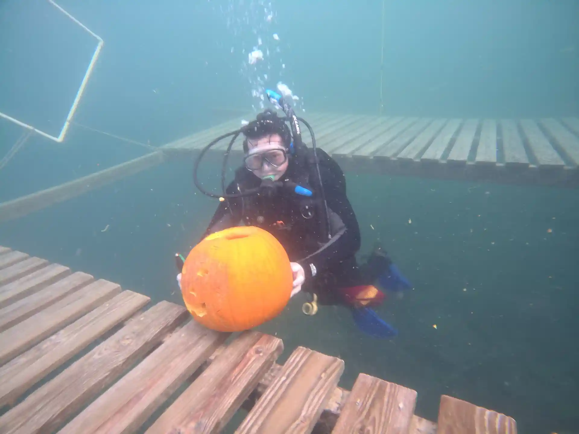 Scuba diver showing off the pumpkin that he carved underwater