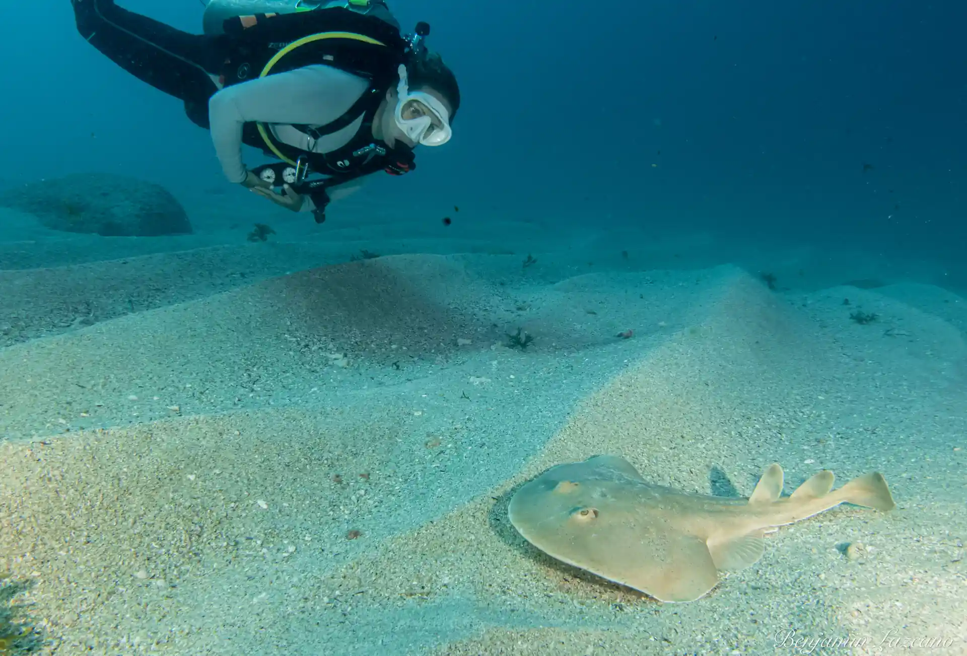 Encuentro local con en electric ray