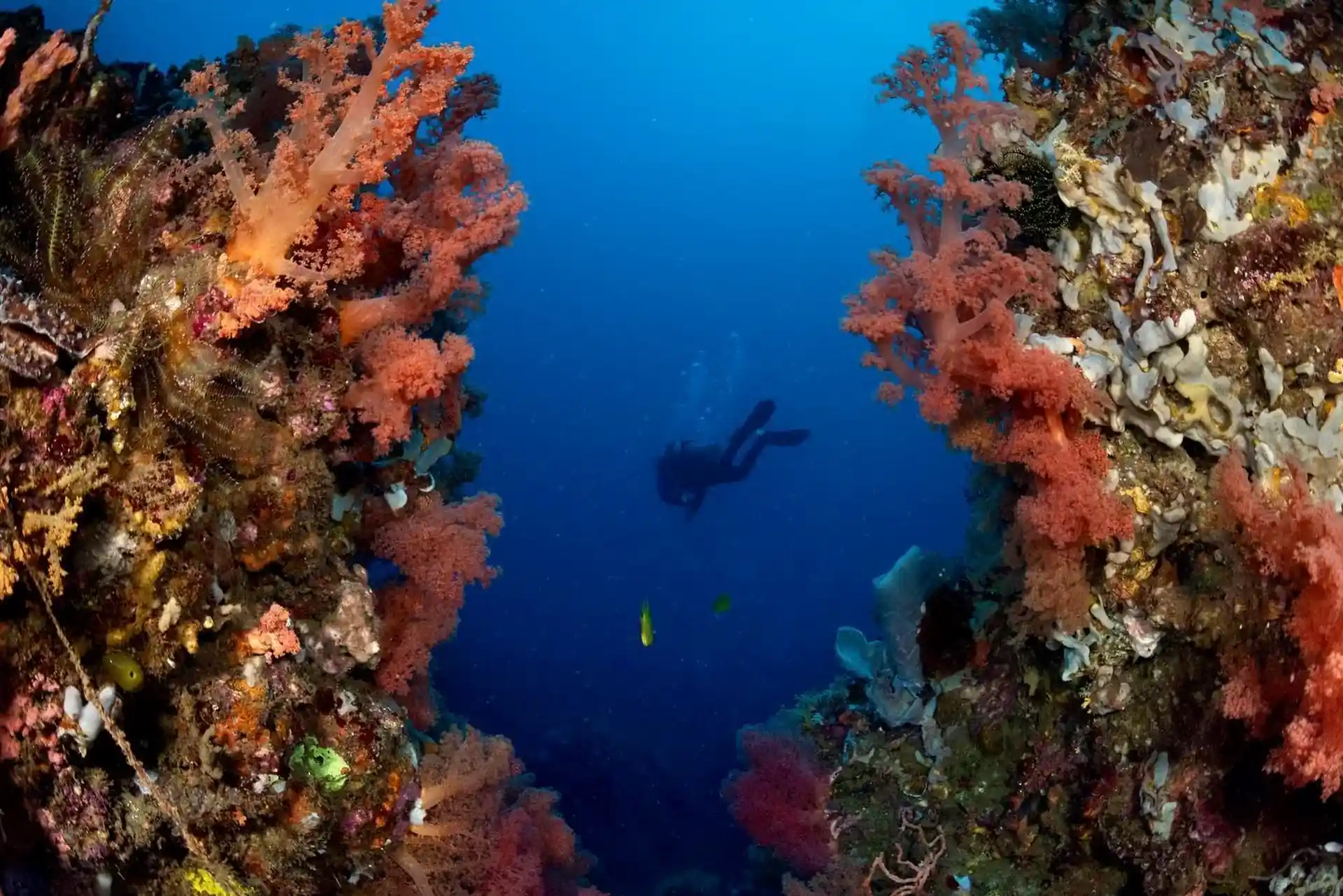 Dive site photo