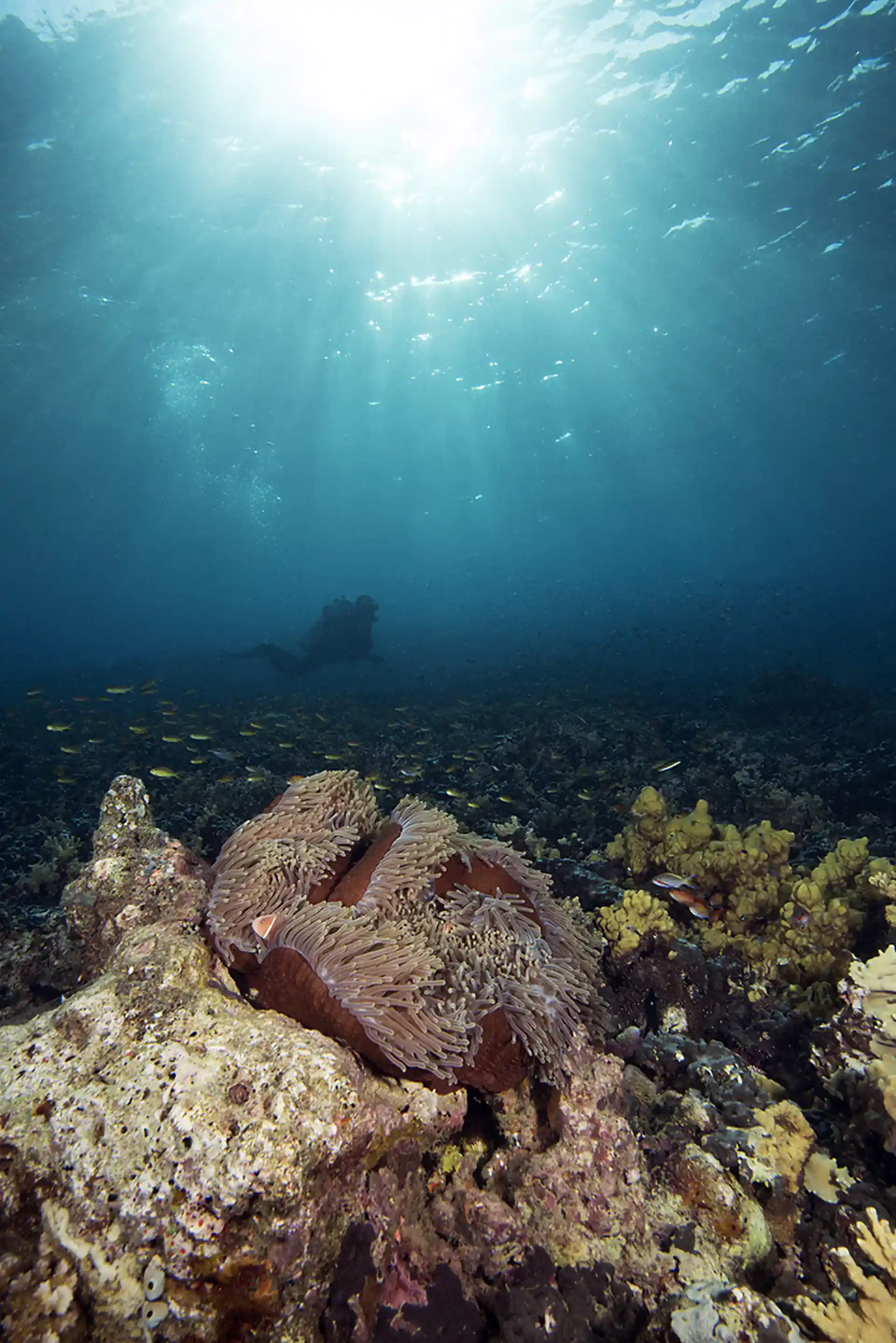 Dive site photo