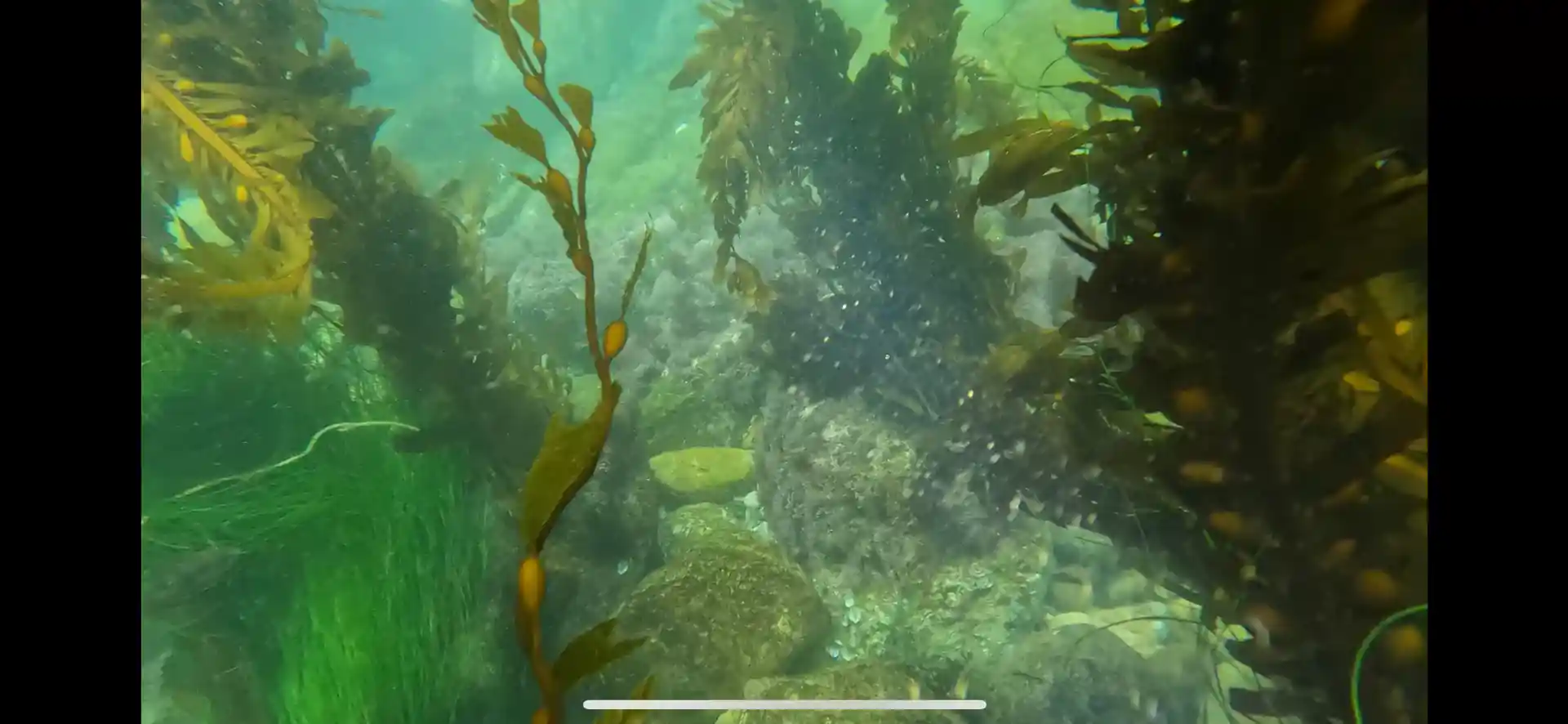 Dive site photo