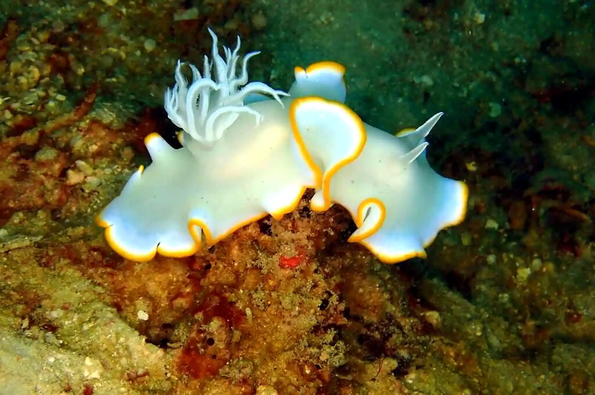 Dive shop photo
