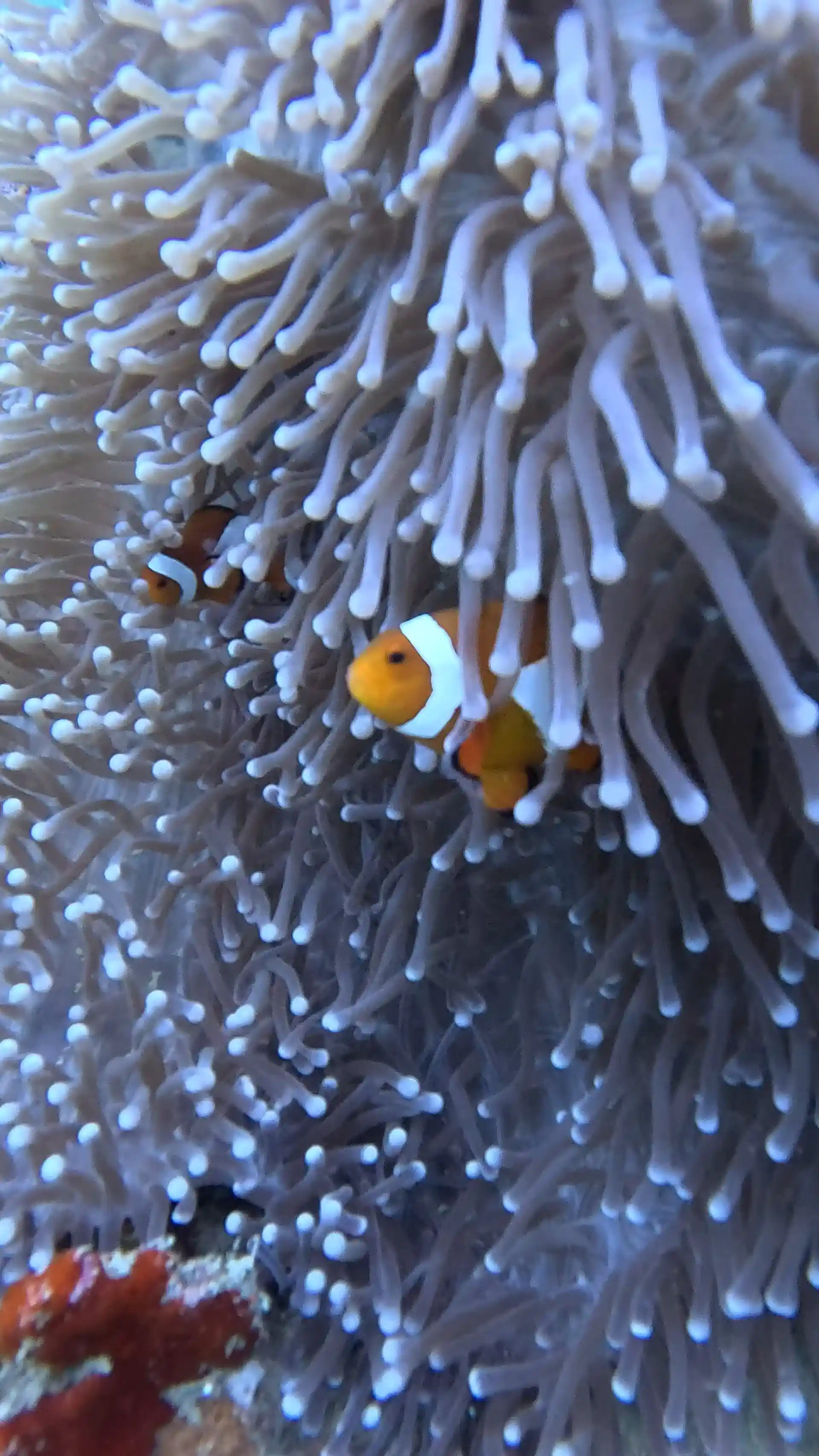 Dive shop photo