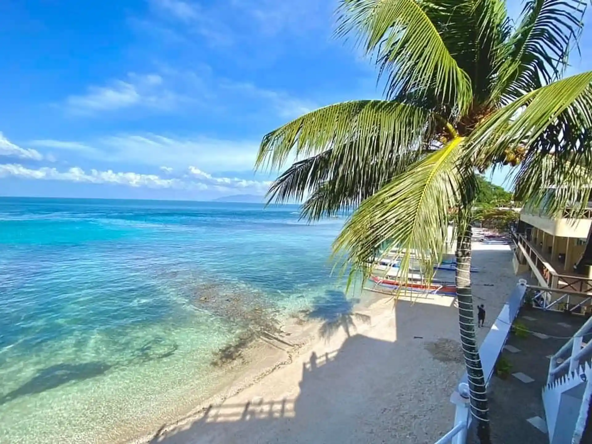 Dive shop photo