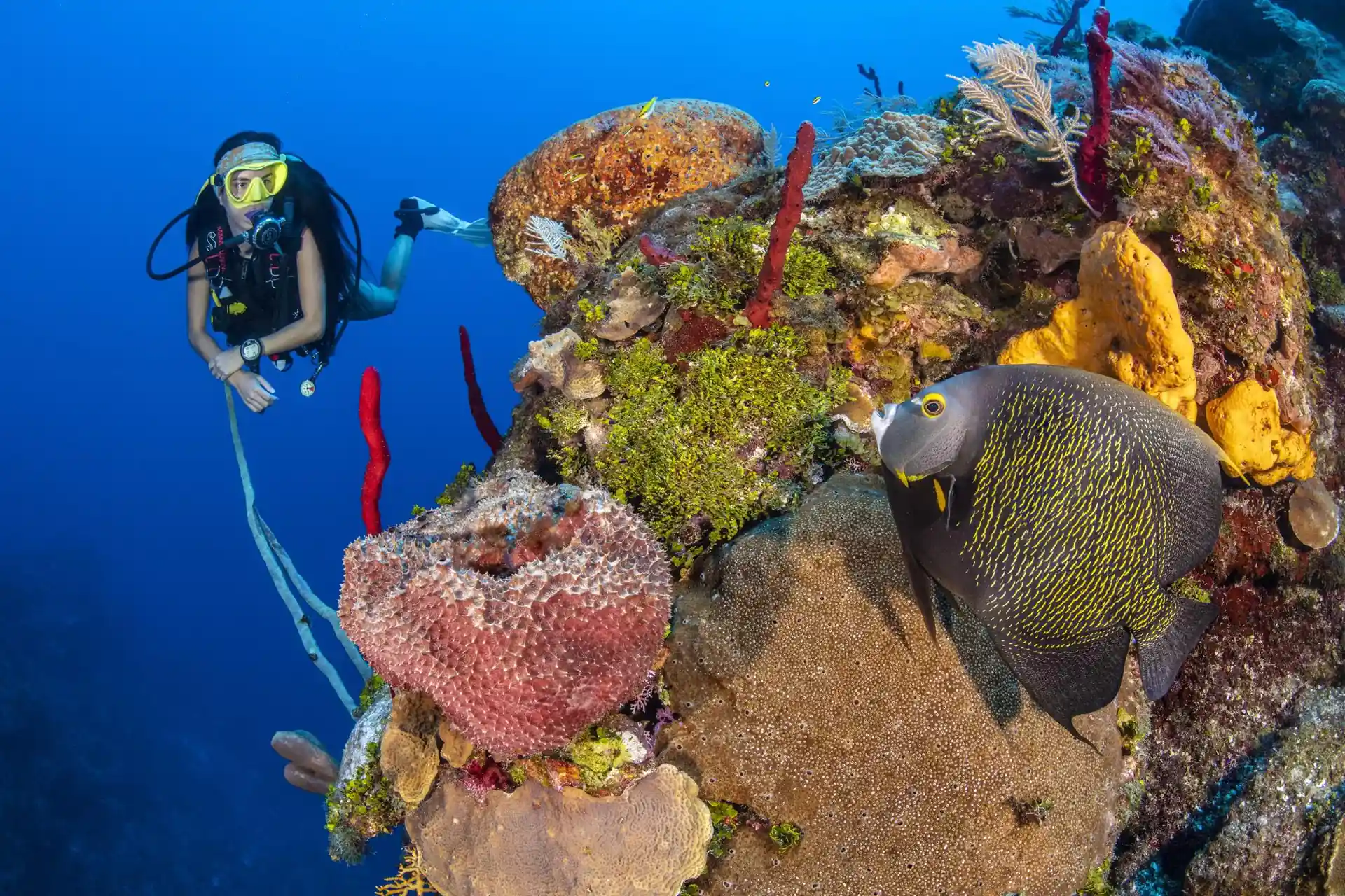 Dive site photo