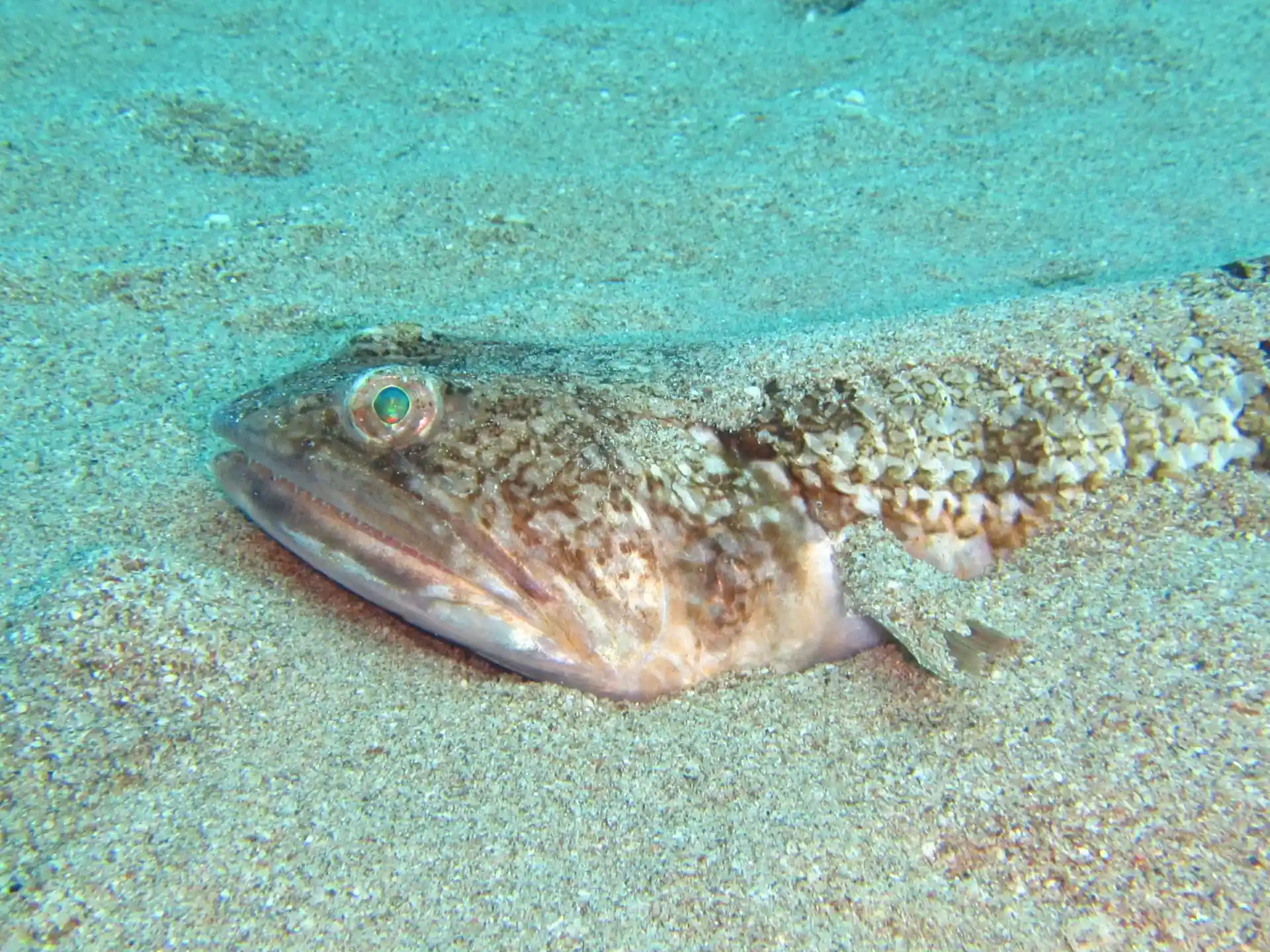Dive site photo