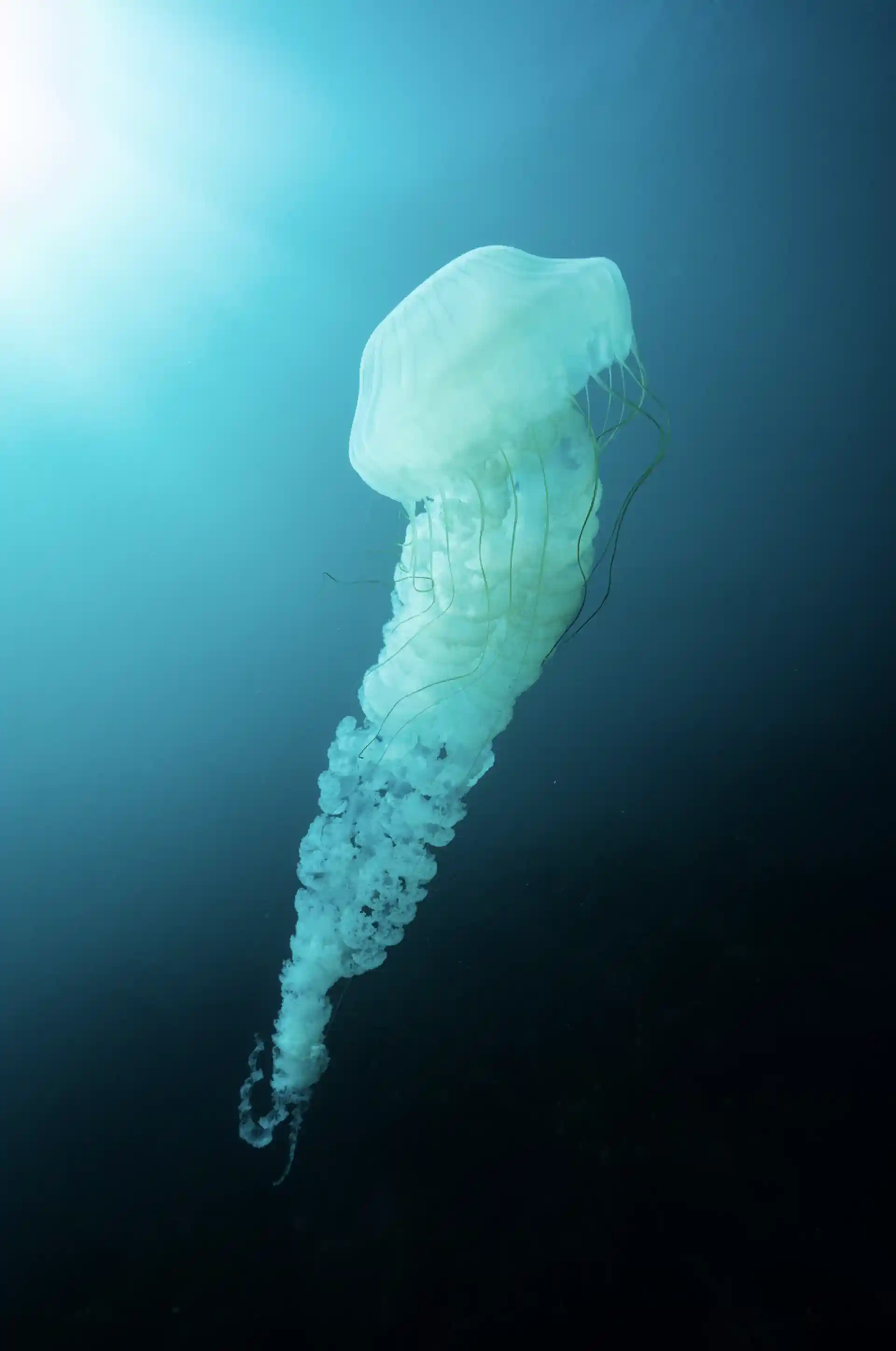 Dive site photo