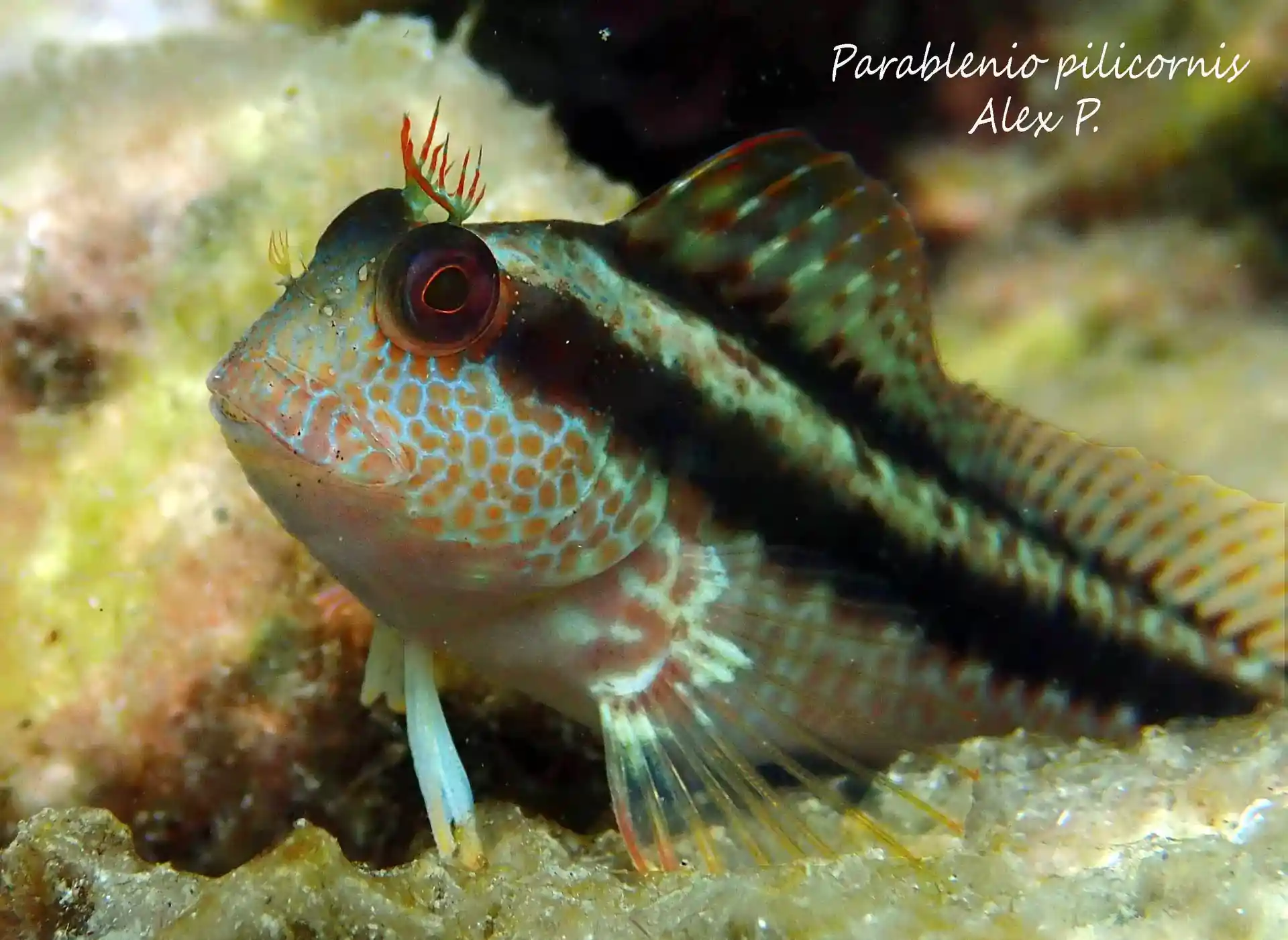 Foto de la actividad