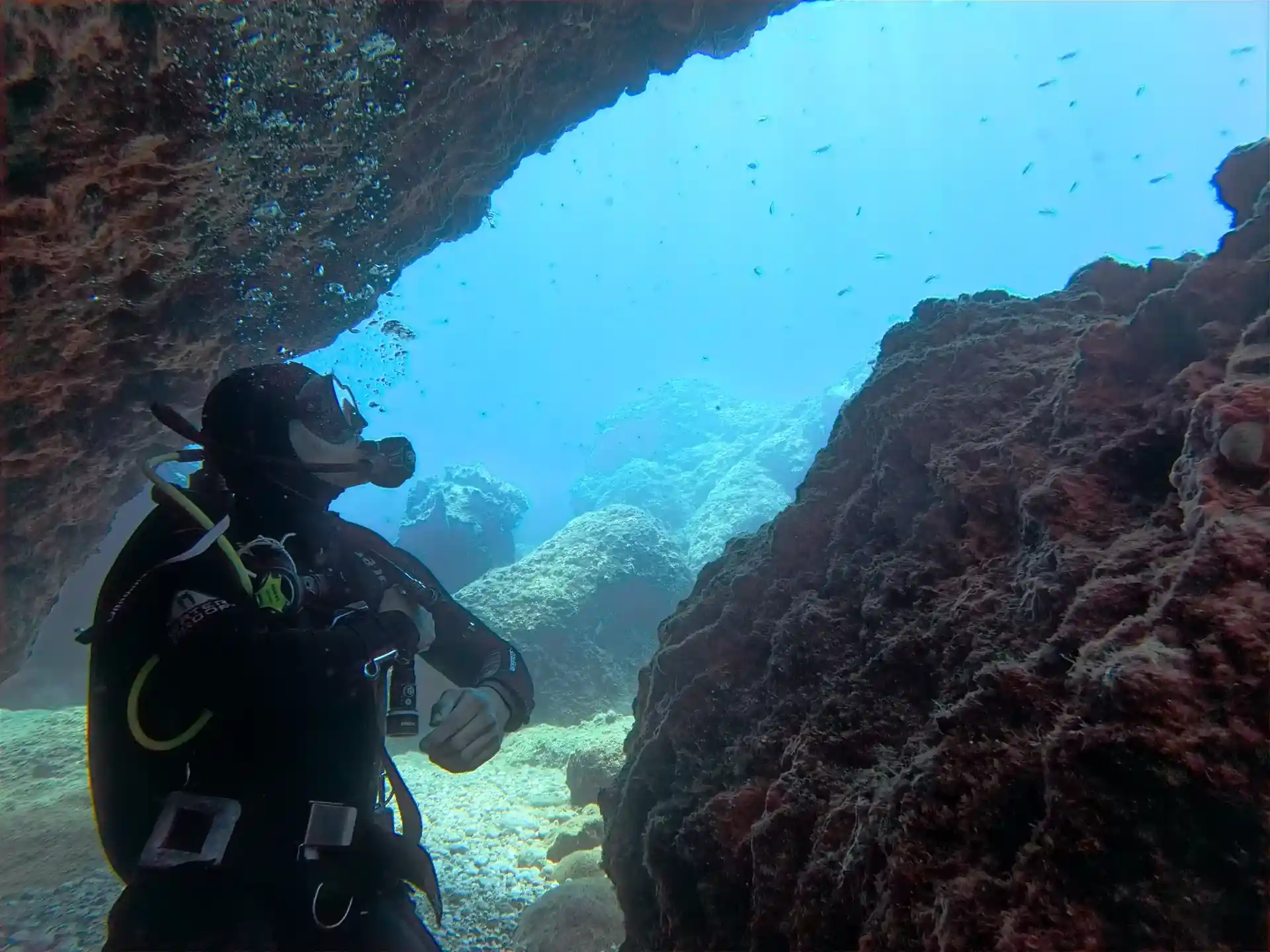 Amazing underwater landscapes!