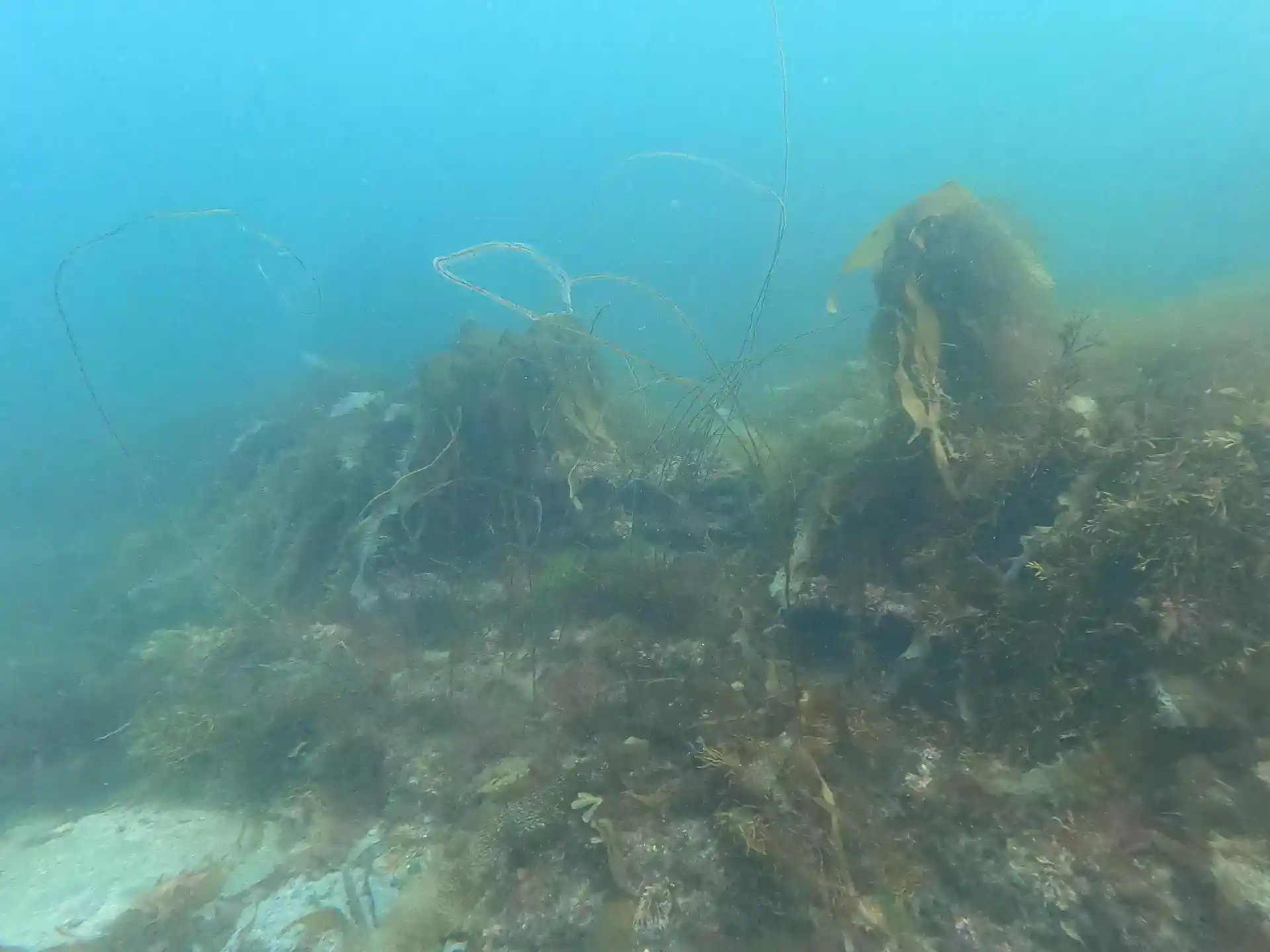 Dive site photo