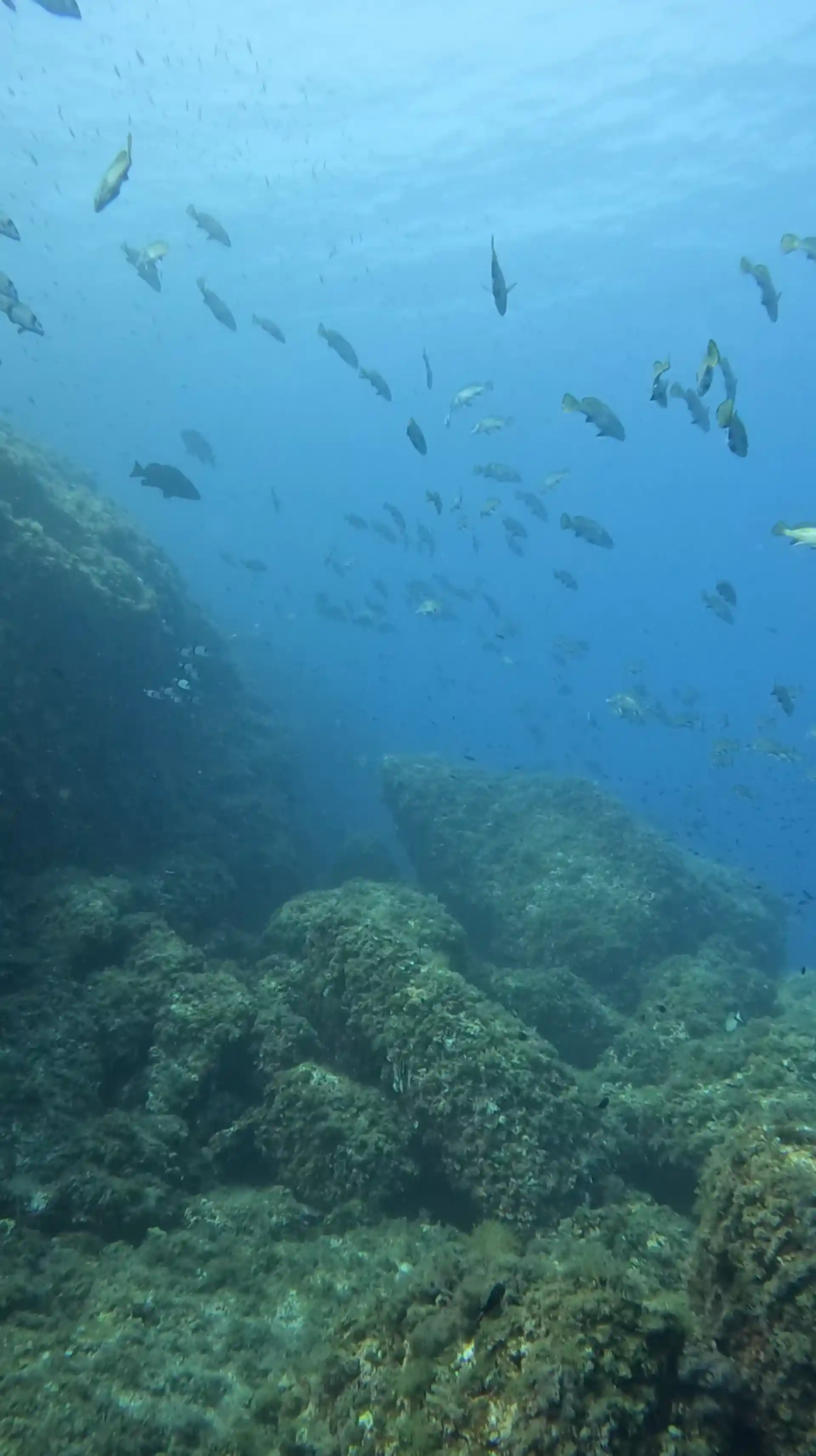 Dive site photo