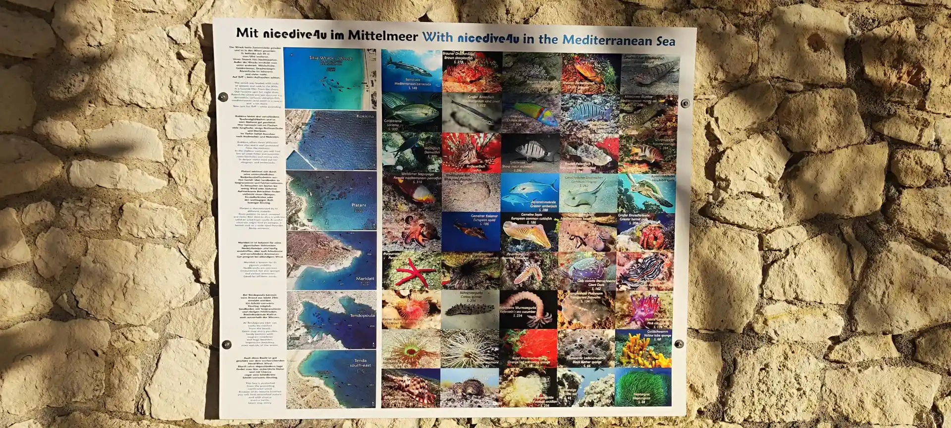 Dive shop photo