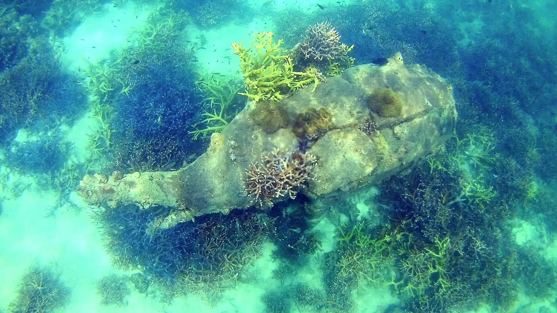 Photo du site de plongée
