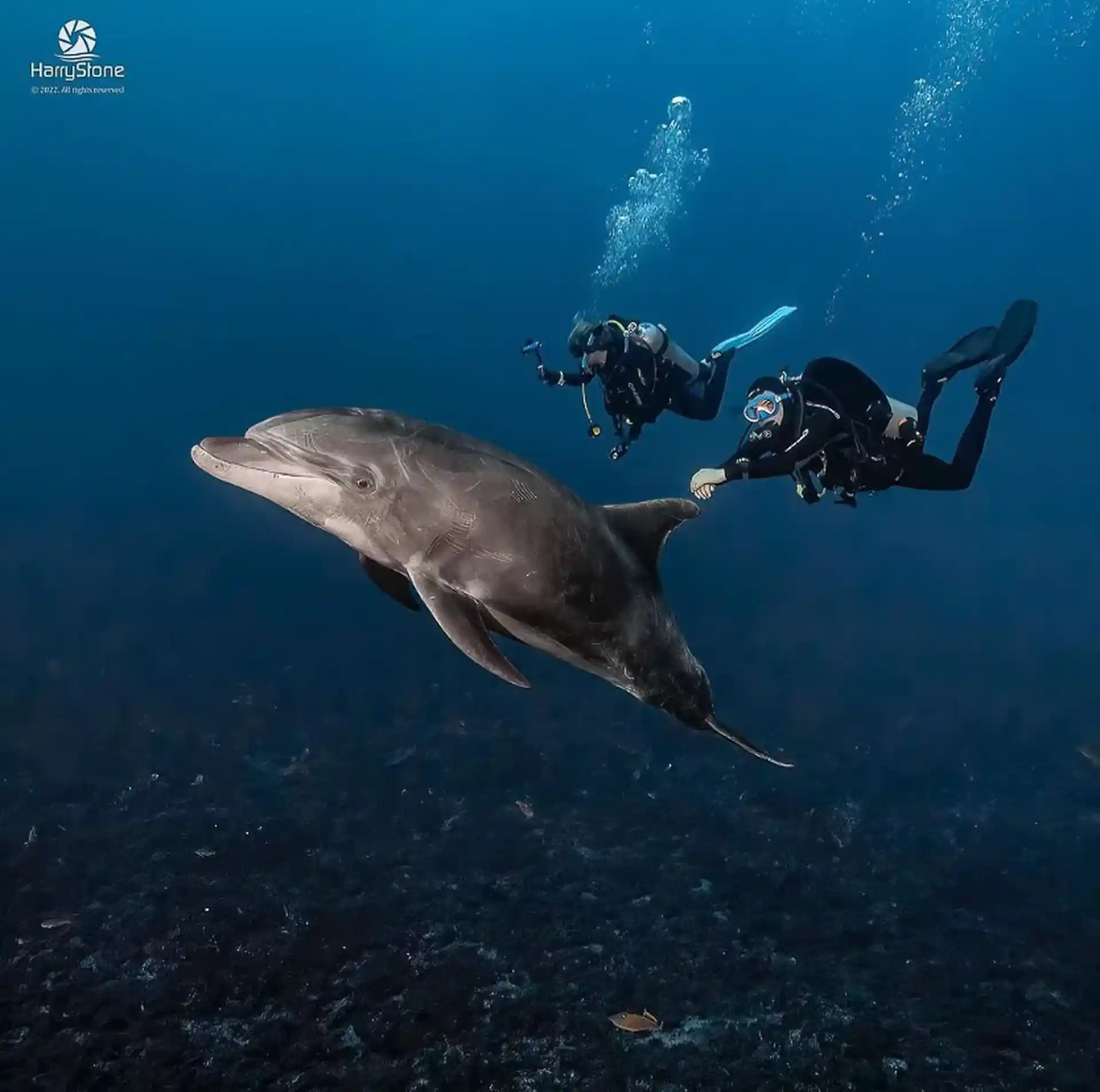 Dive site photo