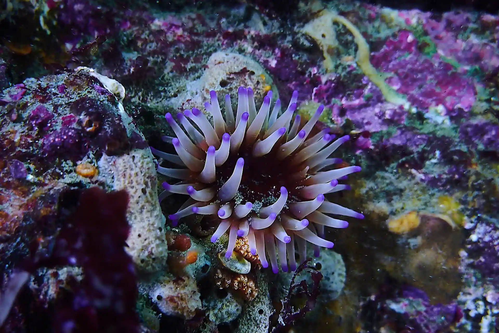 Dive site photo