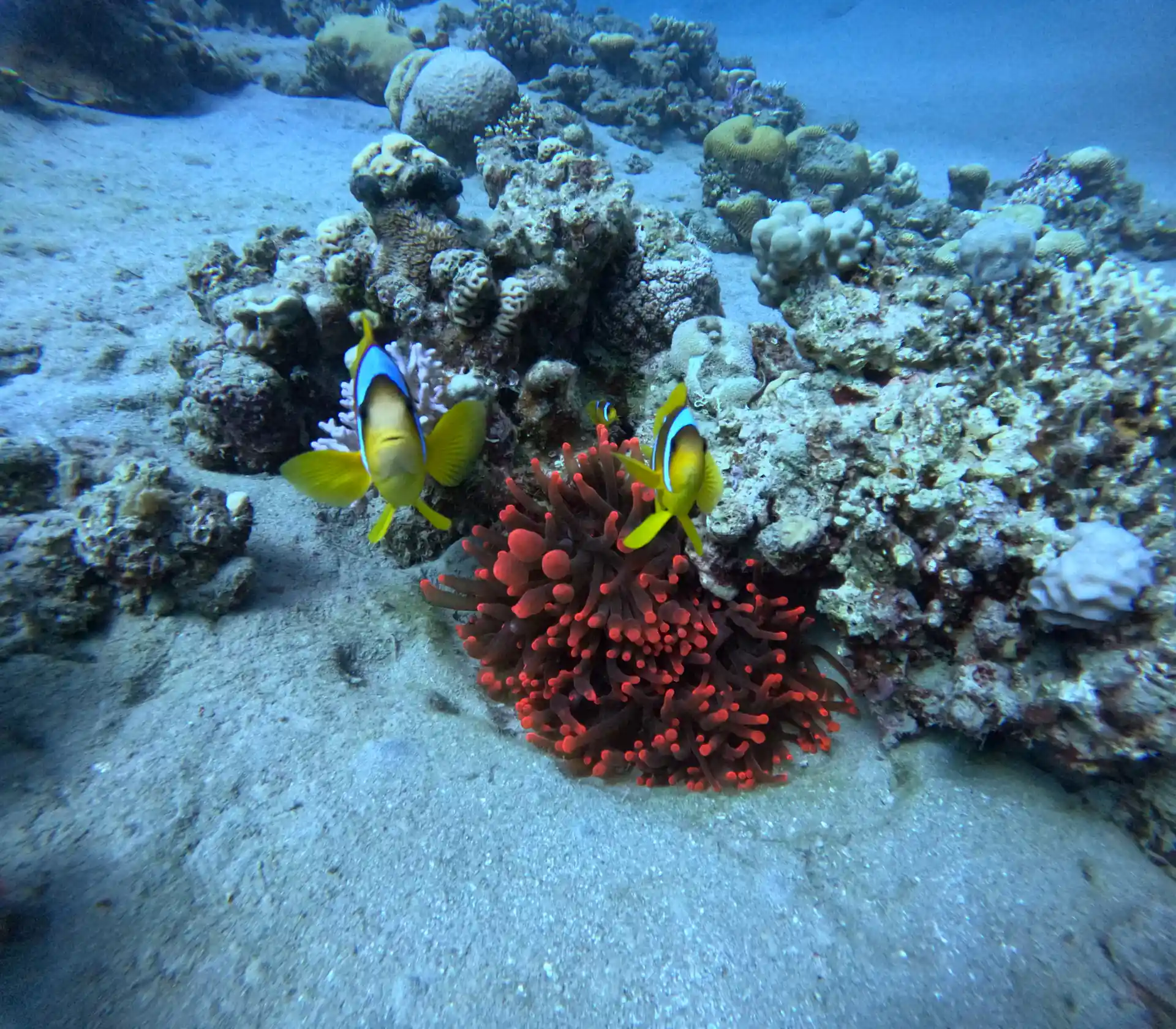 Foto de la actividad