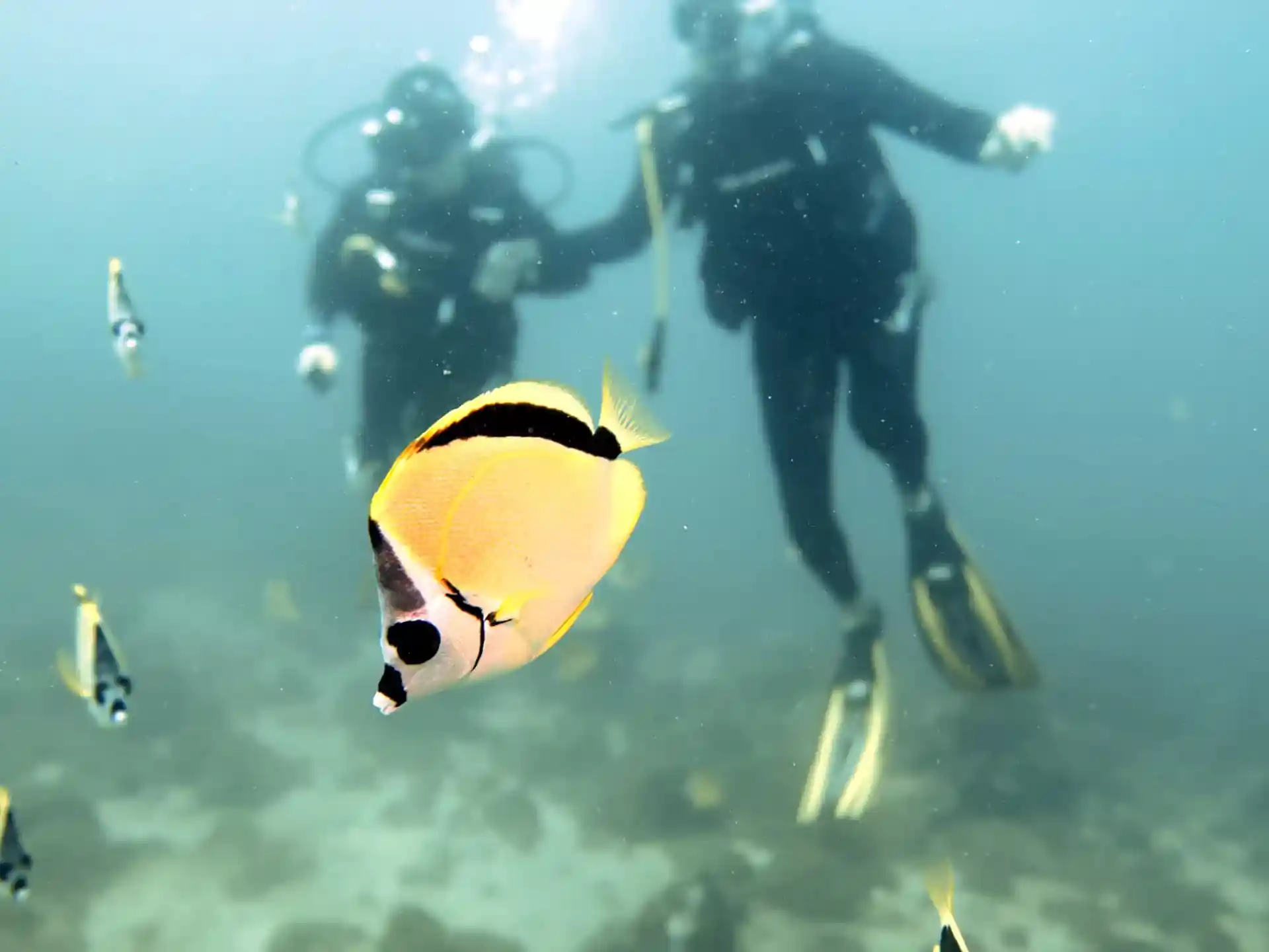 Dive shop photo
